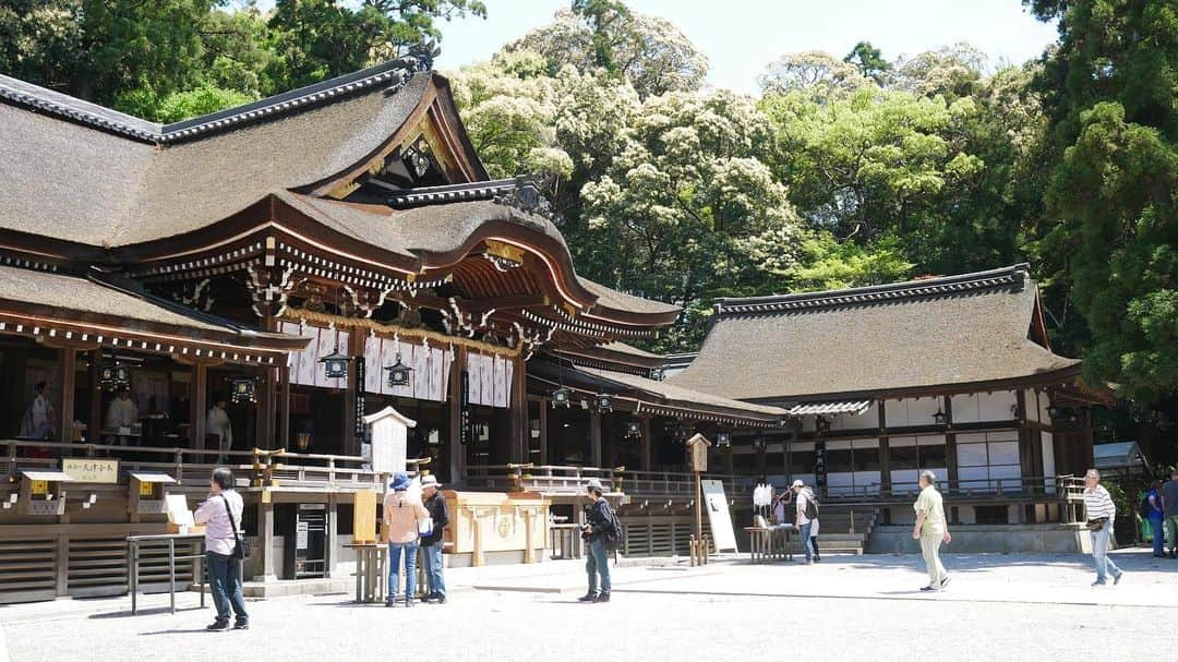 宇野陽介さんのインスタグラム写真 - (宇野陽介Instagram)「大神神社 #日本最古の神社 三輪山は、いつ行っても凄く綺麗な山(御神体)です。関西住んでから毎年、初詣に行ってます。いつかは、三輪山の山頂(他言無用)に、お詣りに行きたいと思います。 #兎 #大物主大神 #三輪山 #奈良 #三輪素麺」5月19日 18時57分 - yorkuno