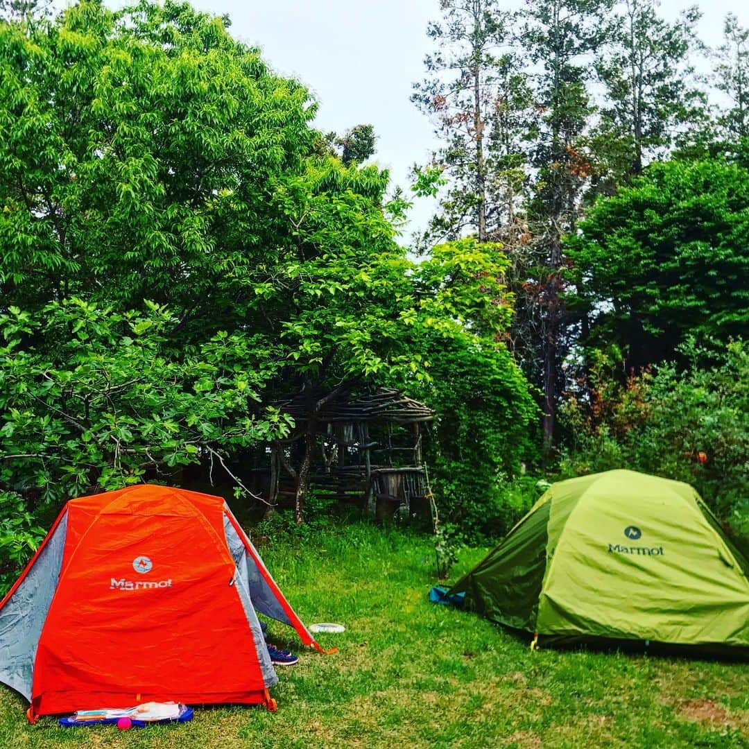 田中幸さんのインスタグラム写真 - (田中幸Instagram)「週末はプライベートキャンプ⛺️ 過ごしやすい気候 貸切り空間  音と自然と仲間たち 鳥のさえずりで目覚める朝 やっぱりキャンプは最高🤟  #マーモット #テント #簡単軽い機能的 @marmot_japan  #プライベートキャンプ場 @tadpolecraft  #1日1組限定  @marmot_japan」5月19日 10時13分 - sachitanaka