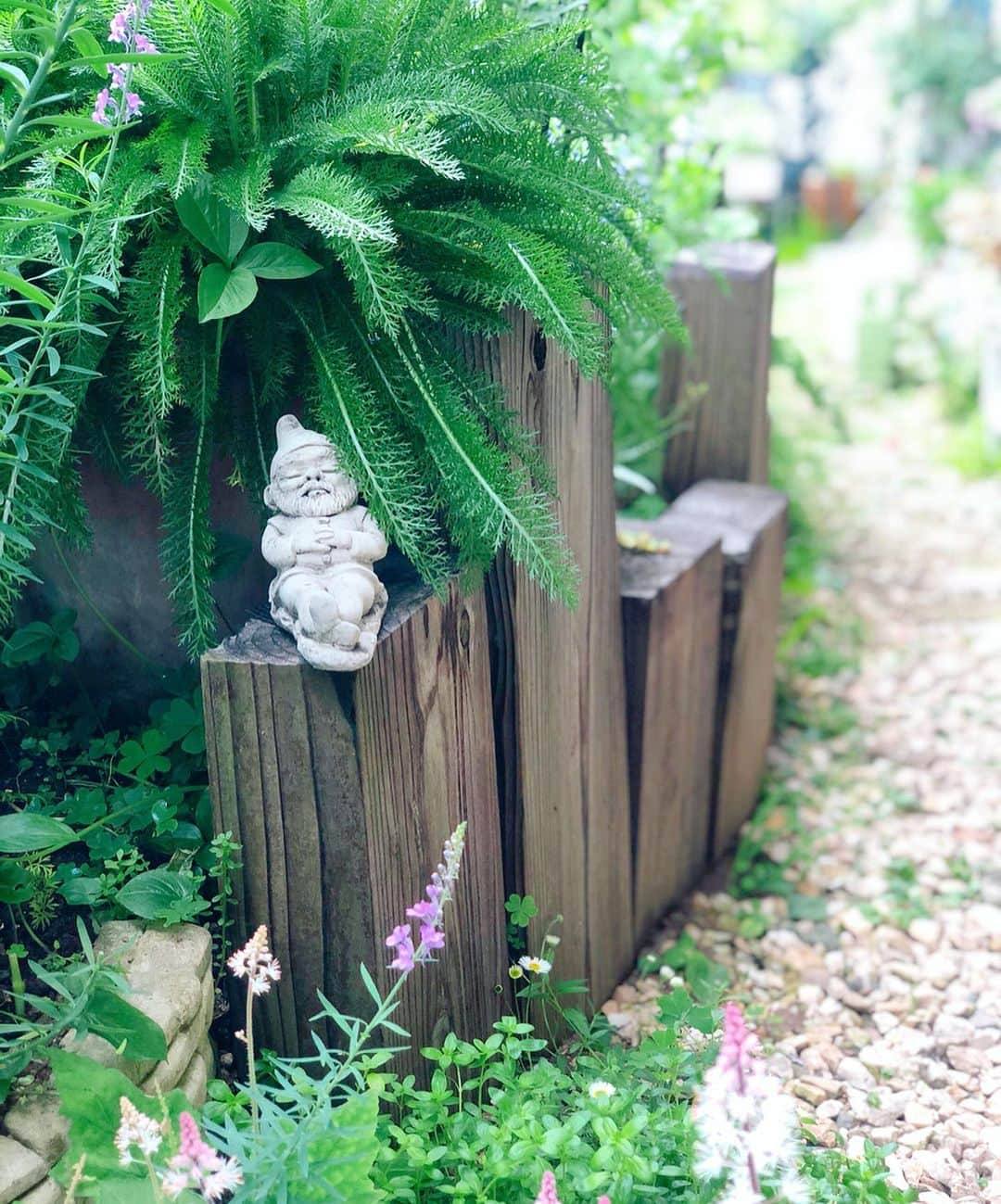 内山理名さんのインスタグラム写真 - (内山理名Instagram)「🍃 Mother's garden..🍃 ・ 母の庭..レモンのような柑橘系の香りのする薔薇など 良い香りに包まれ 幸せな週末🌹 ・ #mymother #mothersgarden #rose」5月19日 11時22分 - rinauchiyama_official