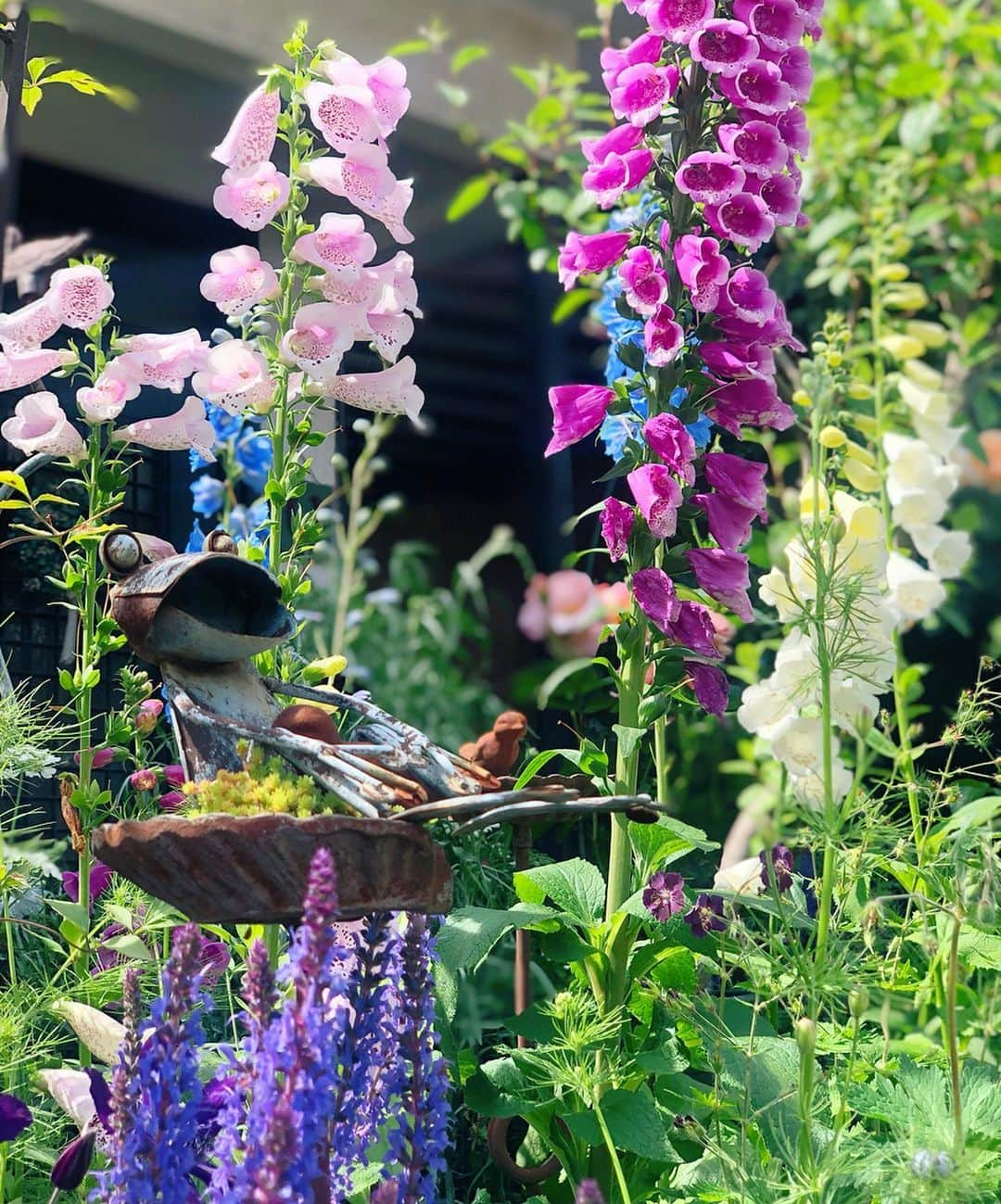 内山理名さんのインスタグラム写真 - (内山理名Instagram)「🍃 Mother's garden..🍃 ・ 母の庭..レモンのような柑橘系の香りのする薔薇など 良い香りに包まれ 幸せな週末🌹 ・ #mymother #mothersgarden #rose」5月19日 11時22分 - rinauchiyama_official