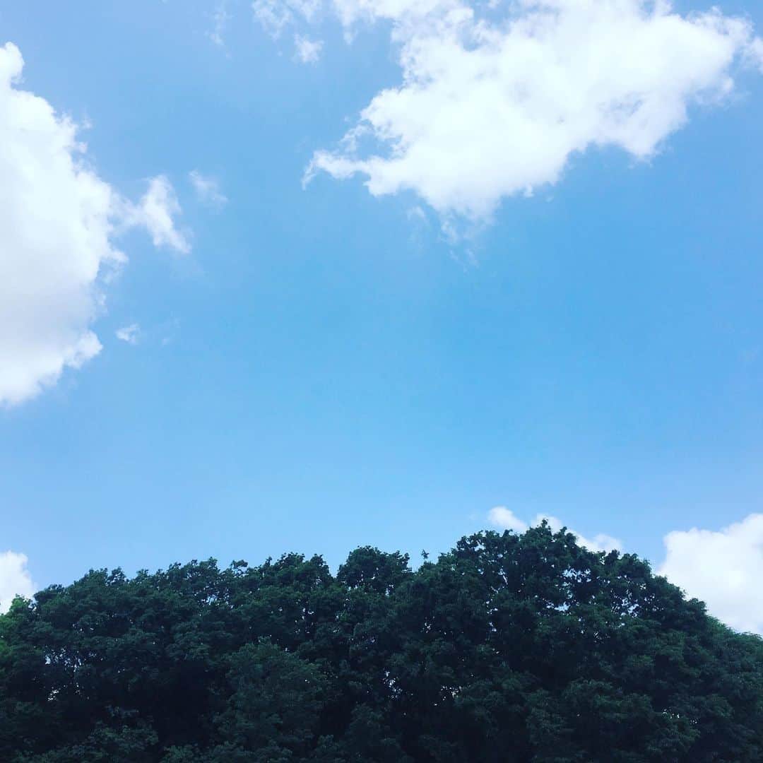 平野由実さんのインスタグラム写真 - (平野由実Instagram)「#ちょうどいい天気 日陰は涼しいいい季節。 曇がかかるとありがたい。 子どもたちは、大きな公園で大はしゃぎ。 水分補給して、楽しんでもらいたい。 大人もしっかり水分補給。 緑が多い公園はいいですね。🌲🌿🍃」5月19日 11時44分 - yumi_hiranoo