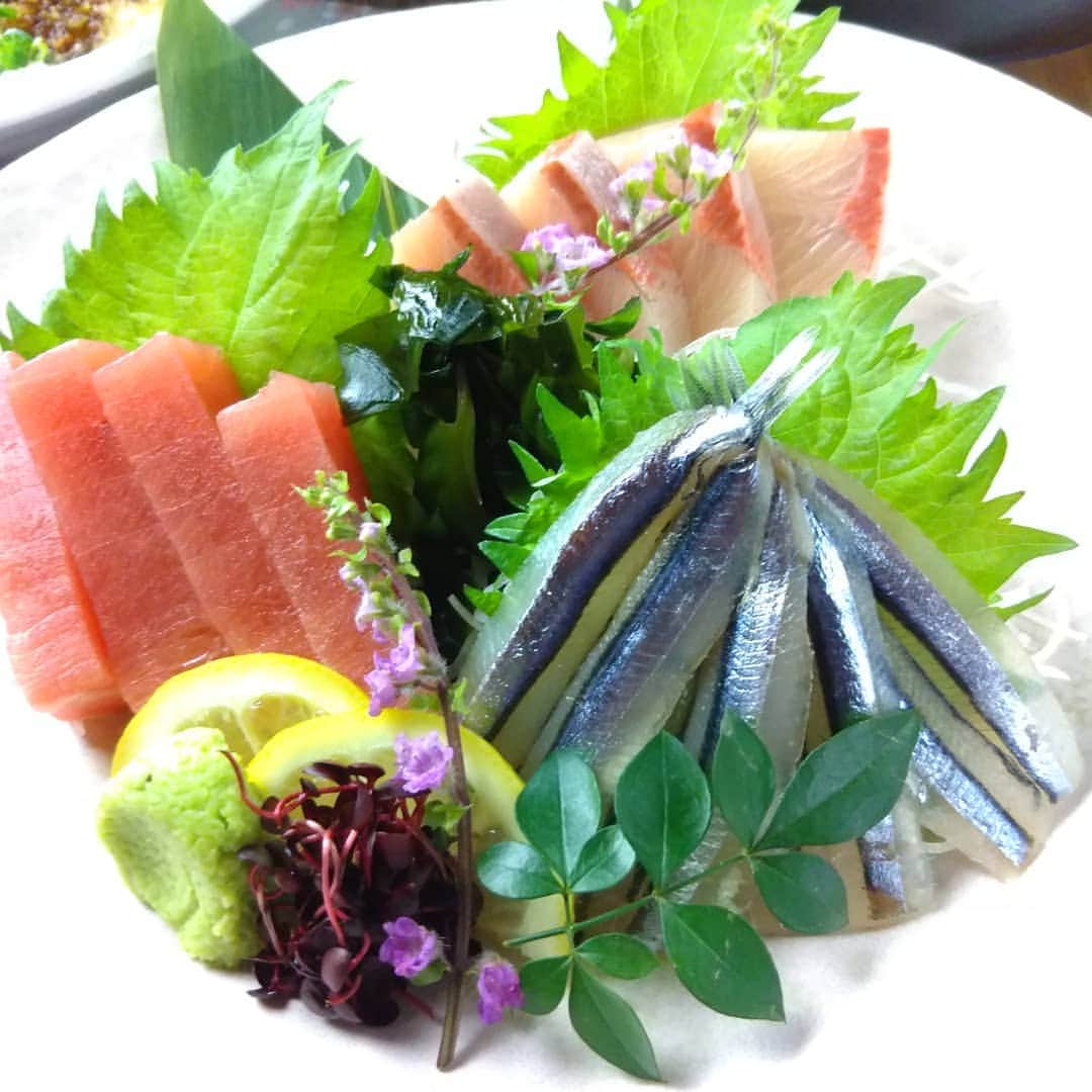 九州うまか 北浜店のインスタグラム：「#九州うまか#九州うまか北浜店#北浜#淀屋橋#天満橋#京橋#肥後橋#堺筋本町#大阪#大阪グルメ#居酒屋#日本酒#焼酎#純米#泳ぎイカ#もつ鍋#九州料理#九州#博多#福岡#鹿児島#宮崎#佐賀#長崎#大分#熊本#肉#造り」