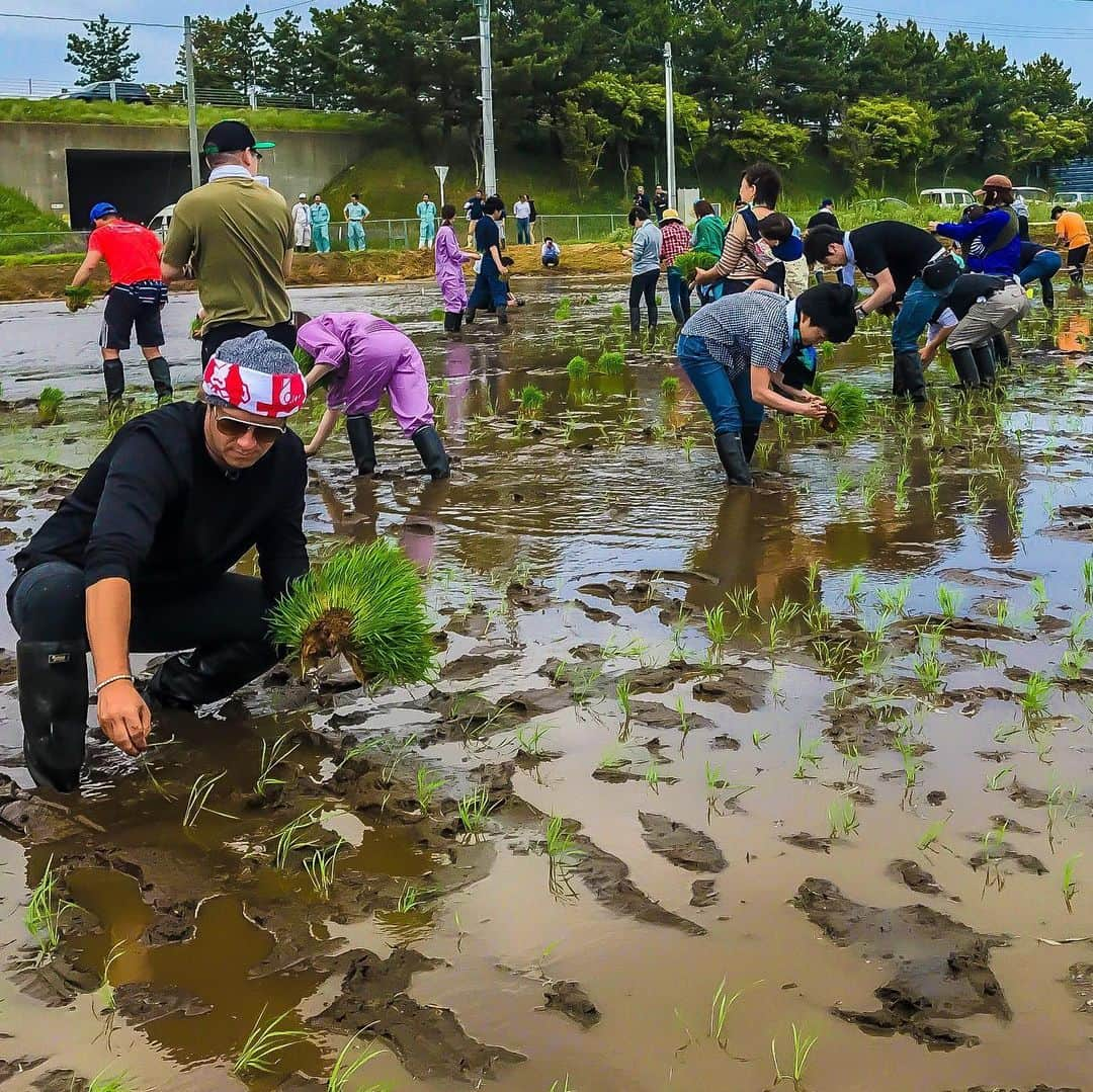 ブレイズ・プラントさんのインスタグラム写真 - (ブレイズ・プラントInstagram)「これから田植えします #だて正夢 #monkeymajik #datemasayume #rice  When I’m not planting grapes, I’m in the rice fields! 😉 #Japan」5月19日 12時05分 - blaiseplant