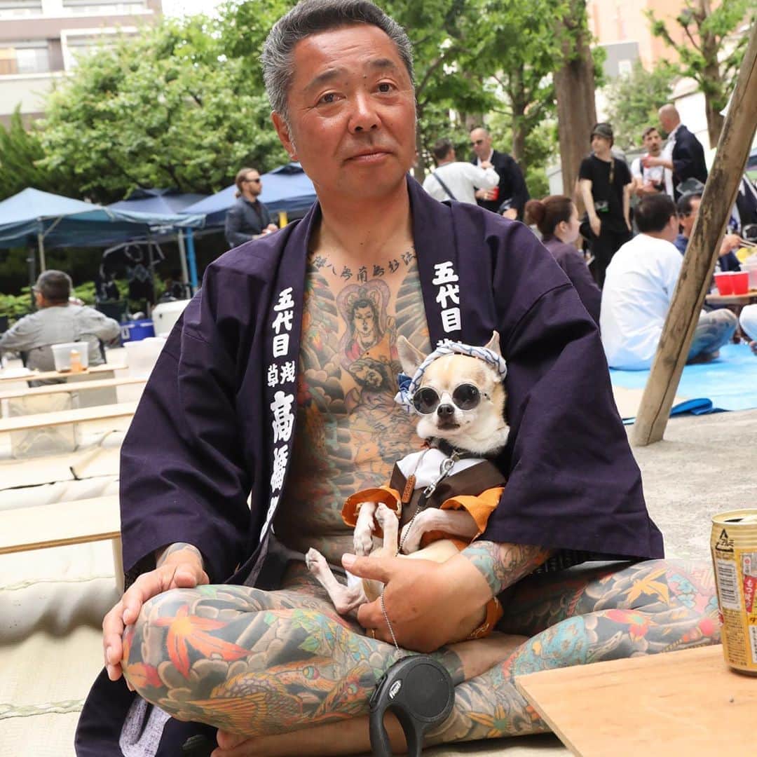 紋次郎さんのインスタグラム写真 - (紋次郎Instagram)「昨日に続き三社祭へ！  日本では刺青はどうしても隠させる風潮が強いですが、こんなに綺麗な芸術が見られないのは少し残念… いろんな刺青兄さん、姉さんに声を掛けていただきましたが、ほんと優しくて丁寧な方ばかり。 ありがとうございました！ #dog#dogstagram#instadog#chihuahua#barkbox#mydogiscutest#buzzfeed#dog_features#fluffypack#barkpack#dogsofinstaworld#dogsofinstagram#犬#チワワ#手作り#handmade#着物#fashion#紋次郎一家#チーム茶#ふわもこ部#igersjp#peco犬部#dogsofinstagram#dogfashion#excellent_dogs#tatoo#刺青#asakusa#三社祭」5月19日 12時00分 - montjiro
