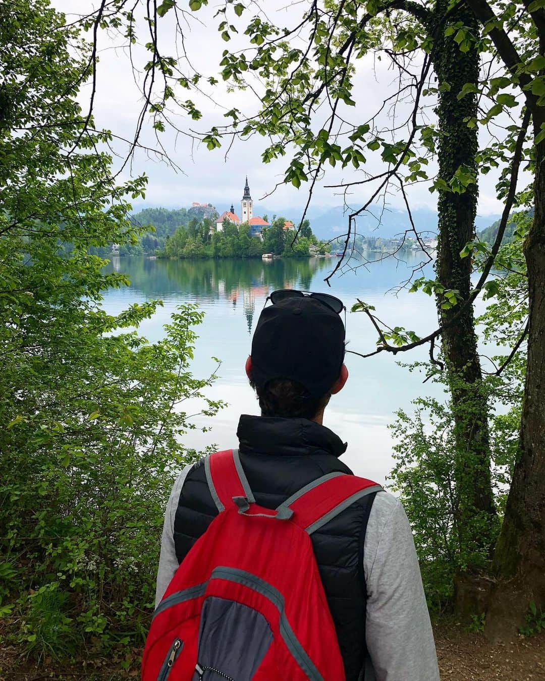 ジェイソン・ブラウンのインスタグラム：「‪Went to bed 🛌😴, woke up in Bled! ☀️🌿 ブレッド、スロベニア! #LakeBled ❤️‬」
