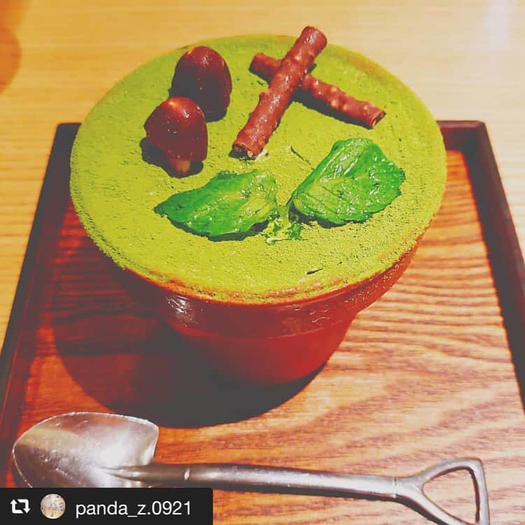 ハレノヒのインスタグラム：「#repost @panda_z.0921 via @PhotoAroundApp  見て、ビックリ😲😲 植木鉢に入ったスイーツ(抹茶)‼️ 食べるのがもったいないくらい😅😅 しかも、スプーンは｢スコップ｣😏 見た目から楽しませてくれてワクワクする❗ #ハレノヒ #ハレノヒカフェ #フラワーポット #植木鉢 #抹茶 #抹茶スイーツ #スコップ #植木鉢スイーツ #スイーツ #スイーツ男子 #見た目ビックリ #新宿 #新宿カフェ #ルミネエスト #ルミネエスト新宿 @panda_z.0921様 ご来店ありがとうございます😊お写真も嬉しいです♪ #cafe#cute#harenohi#shinjuku#lumineest#flowerpot#cake」