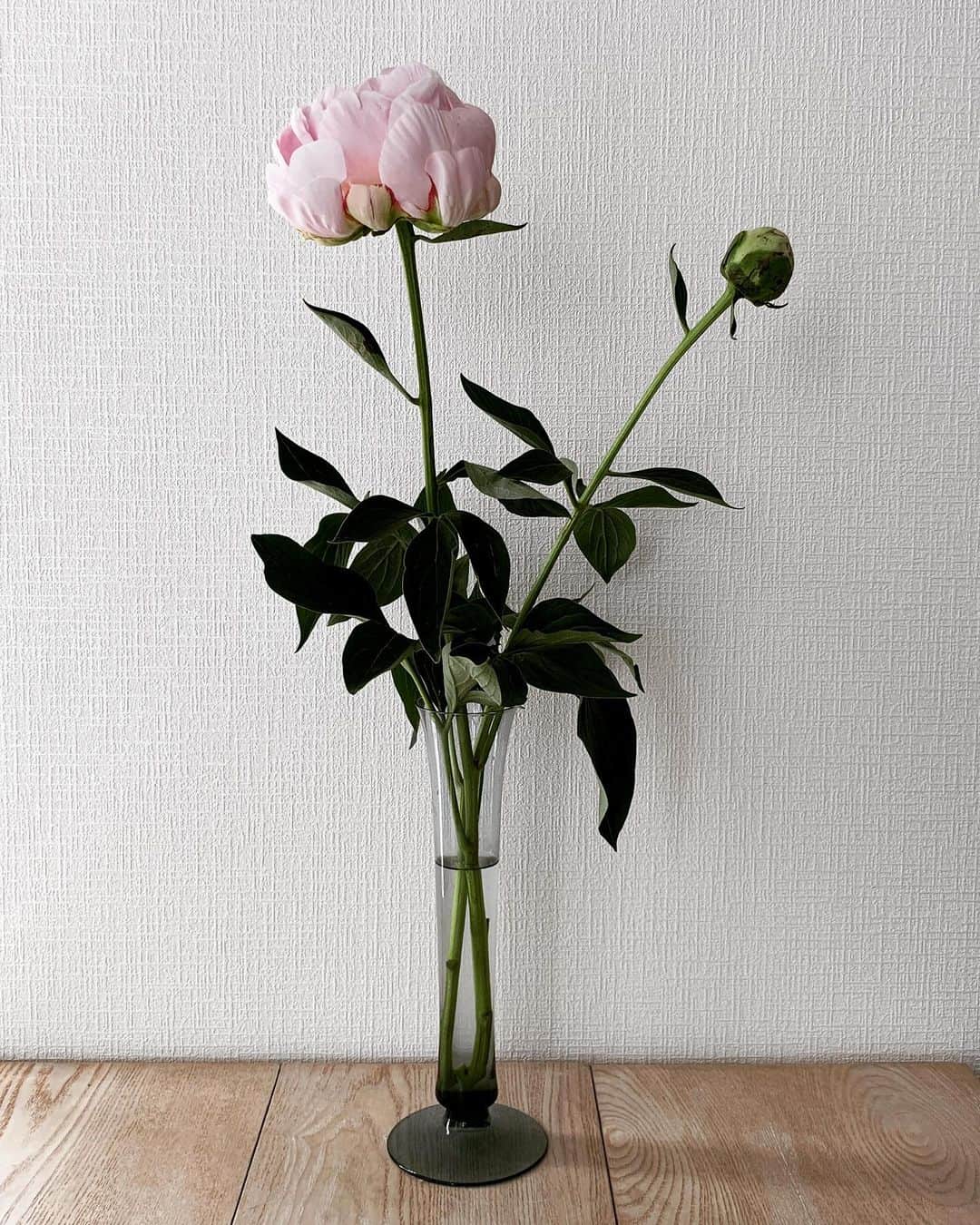 小谷実由さんのインスタグラム写真 - (小谷実由Instagram)「咲いてきた。まだ隣の方は沈黙。」5月19日 13時00分 - omiyuno