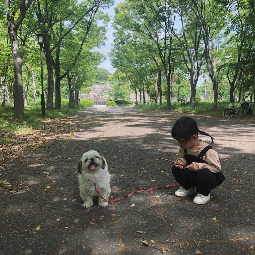 いりこさんのインスタグラム写真 - (いりこInstagram)「今日のあさんぽ👧🏻🐶」5月19日 13時04分 - hana_uoj