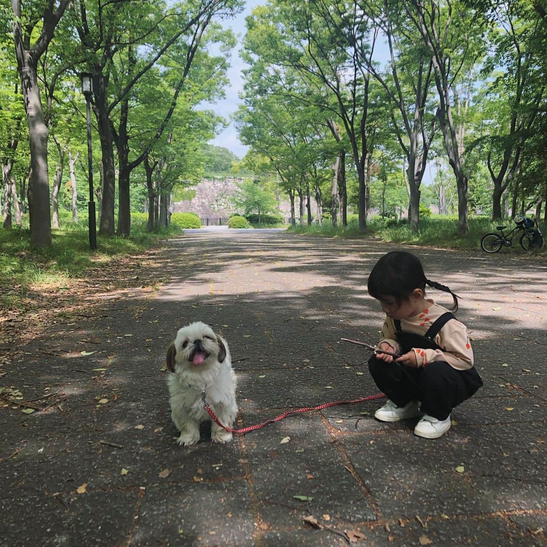 いりこのインスタグラム：「今日のあさんぽ👧🏻🐶」