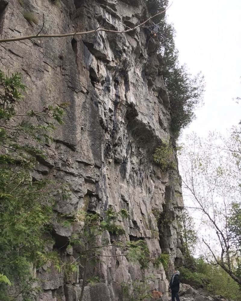 渡邉海人さんのインスタグラム写真 - (渡邉海人Instagram)「First time rock climbing in Canada🇨🇦 Where am I!?!?!? Thank you @caganzy @siul8tr  #climbing #外岩 #outdoor #ロッククライミング #クライミング #outdoorclimbing #ontario_adventures #toronto」5月19日 13時39分 - kaito_8611
