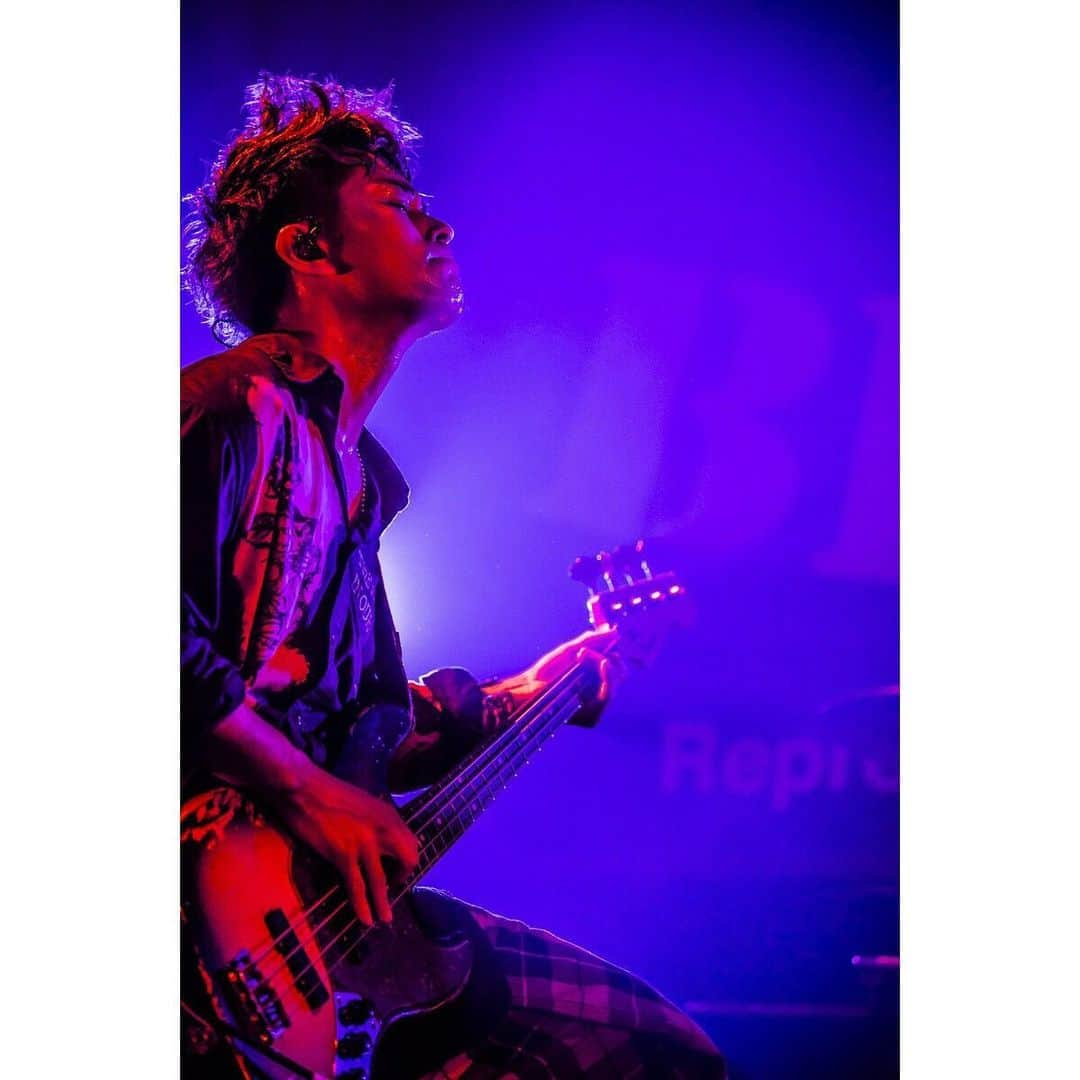 青木カズローさんのインスタグラム写真 - (青木カズローInstagram)「SUPER BEAVER﻿ ( @superbeaver_official )﻿ ﻿ 2019.05.17 @ 広島 BLUE LIVE ﻿ photo by 青木カズロー(cazrowAoki)﻿ ﻿ #SUPERBEAVER #写殺﻿ #人間が生きている瞬間﻿ #生きてなきゃ殺せない﻿」5月19日 13時44分 - cazrowaoki