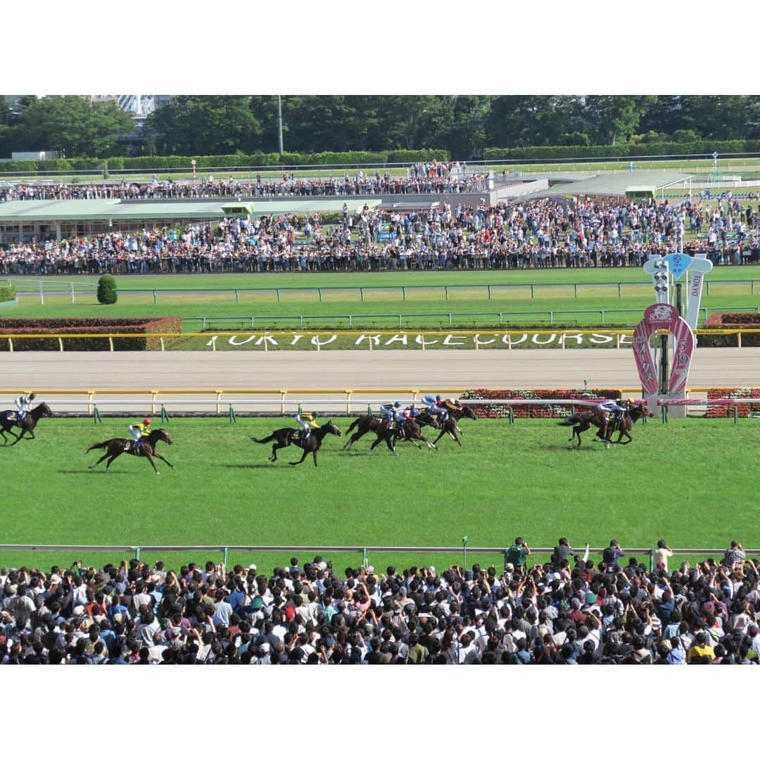 津田麻莉奈さんのインスタグラム写真 - (津田麻莉奈Instagram)「第80回オークス🐴🌹 一番人気に応えて勝ったのはラヴズオンリーユー🏇 関係者の皆さま、ミルコ・デムーロ騎手、 おめでとうございます‼️🥰 ⁑ #津田カメラ #オークス #スペホリ #優駿牝馬オークス #ラヴズオンリーユー #おめでとうございます #東京競馬場 #府中 #競馬 #tokyoracecourse #umajo #まりなる #津田麻莉奈」5月19日 19時17分 - tsudamarinal