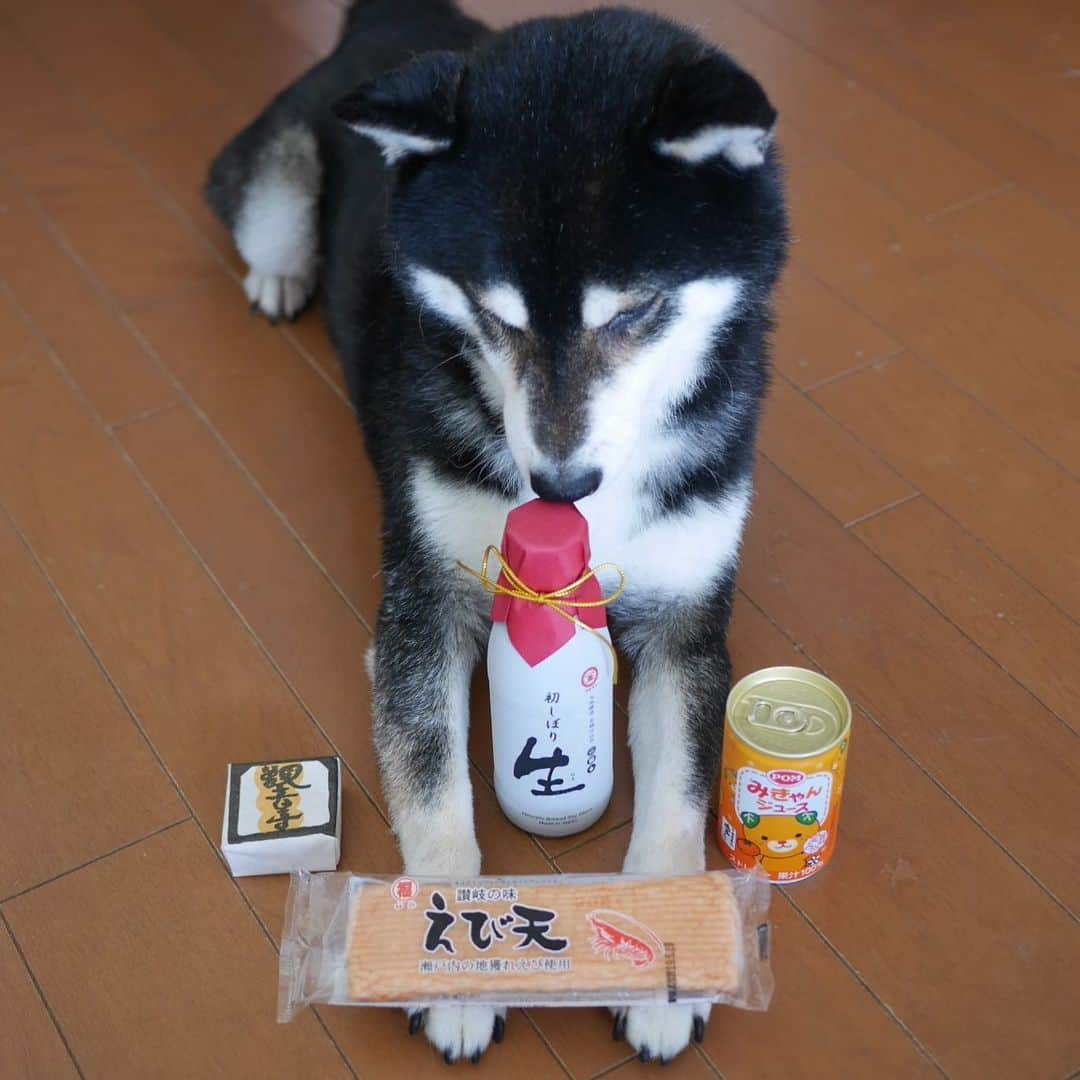 くろさんのインスタグラム写真 - (くろInstagram)「せとうち旬彩館(香川県・愛媛県共同アンテナショップ)でお買い上げ🐾 #白栄堂 #銘菓観音寺 #初しぼり生 #マルキン醤油 #みきゃんジュース #うんしゅうみかんジュース #えび天 #福弥蒲鉾  #せとうち旬彩館 #香川県愛媛県アンテナショップ #香川県と愛媛県のアンテナショップ  #豆も気になるぅ #モデル犬 #柴犬 #黒柴 #柴犬と一緒 #柴犬のいる生活 #柴犬のいる暮らし #わんこと一緒 #わんこのいる生活 #わんこのいる暮らし」5月19日 13時52分 - m6bmw