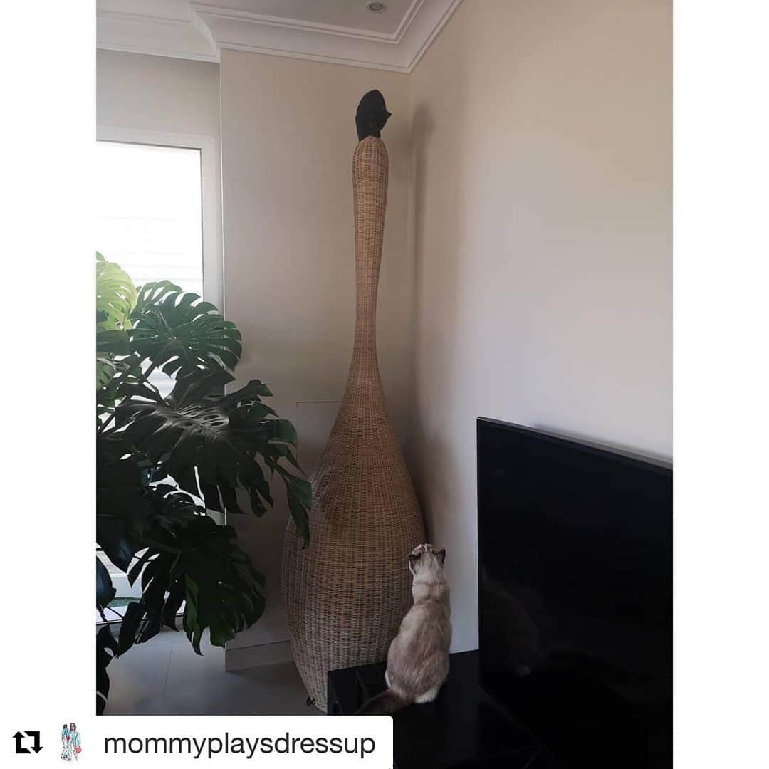 GERVASONI JAPAN / ジェルバゾーニ ジャパンさんのインスタグラム写真 - (GERVASONI JAPAN / ジェルバゾーニ ジャパンInstagram)「BOLLA FLOOR LAMP & 🐈🐈 ・ Special thanks to @mommyplaysdressup ・・・ Long story short we have a new cat. A stray kitten we couldn't leave behind. Only Monkey the cat begs to differ 👹. This photo was taken moments after she chased the kitten up. My question to the seasoned cat lovers (I'm a dog junkie) is will they ever work out their differences? Also, names! I've been calling her Mortitia but maybe you guys have better ideas! The crazier the better. 💡😸 ・ #Gervasoni #GervasoniJapan #GervasoniTokyo #paolanavone #interior #interiordesign #madeinitaly #flagshipstore #omotesando #minamiaoyama #pink #ghost #mohebbanmilano #elenacaponistudio  #ジェルバゾーニ #ジェルバゾーニジャパン #ジェルバゾーニトーキョー #お洒落さんと繋がりたい #インテリア好きな人と繋がりたい」5月19日 13時55分 - gervasoni_japan