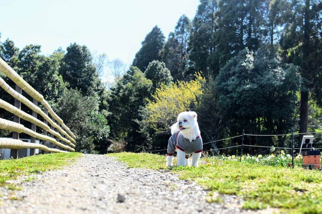 前園真聖のインスタグラム