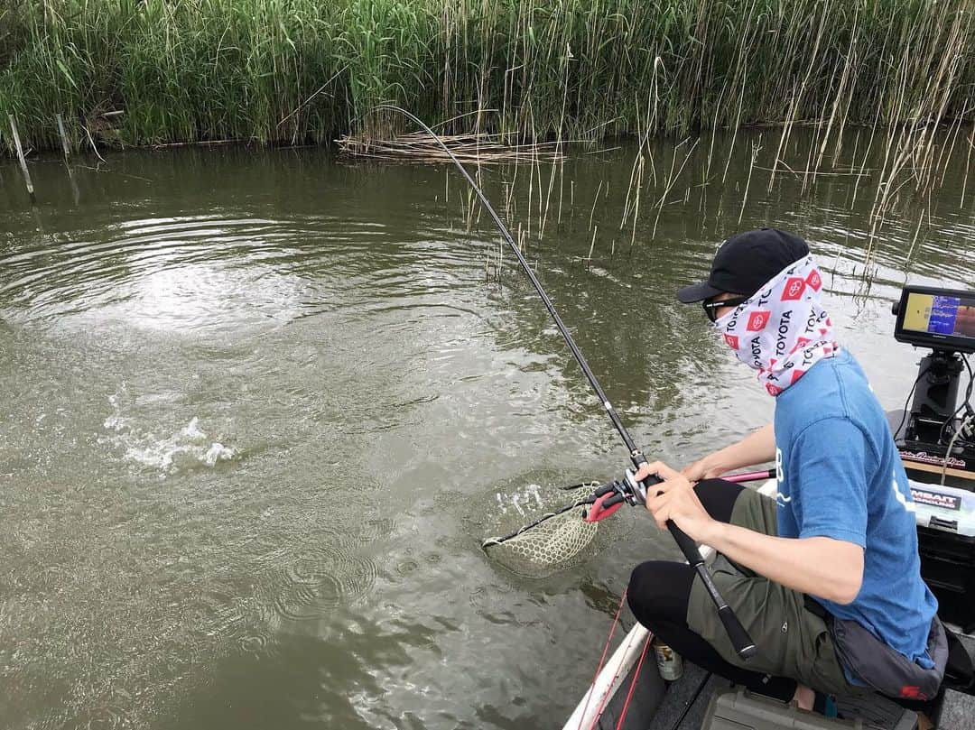 石川文菜さんのインスタグラム写真 - (石川文菜Instagram)「‪. . . 5月19日は伊庭内湖🎣 . . 現在、全米での認知度がグイグイ上がっている!?コアングラーさんが滋賀にお越しということで、伊庭内湖へ🎣🚣‍♀️‬ . . ‪初めて来ましたが、雰囲気が新利根っぽい！‬ . . ‪今回、打ったり巻いたりの方がいいということで、今シーズンの一人H-1GPXを開催😎🎉 . . 念願のテキサスで2本GET🏋️‍♂️✨‬ ‪実に嬉しかった😍‬ ‪2匹ともファイボス3.8"のグリパンゴビー＆JKタングステン バレットシンカー3.5gのセッティングでした🎣‬ . . 1匹目…36.5cm/910g 2匹目…26cm/345g . . 釣れた魚はサイズに関わらずみんなよく走り、別の魚がかかった!?と勘違いしてしまうほど🤣 . . 関東っぽさがあって気に入った🥳 . . . #pic #photo #fishing #fishinglife #bassfishing #bass #jackall #ファイボス #滋賀 #伊庭内湖 #bunの一人h1gpx #オン眉 #ボブ」5月19日 17時21分 - bun0404