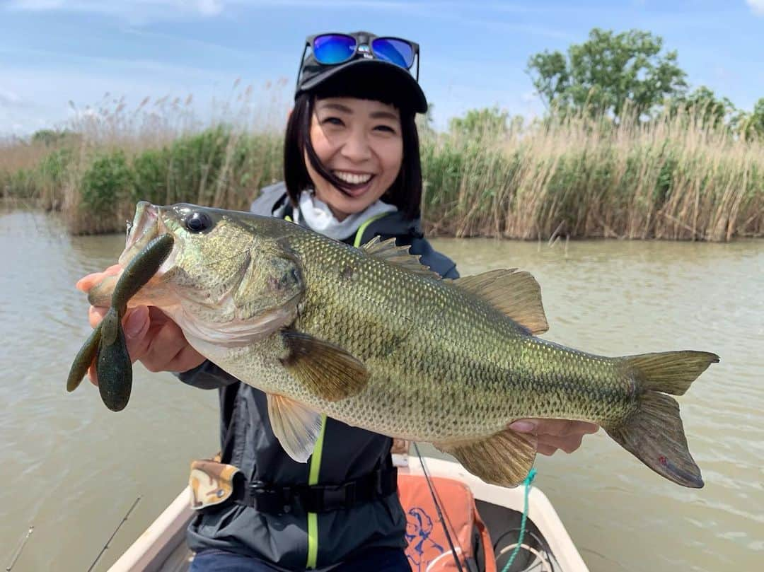 石川文菜さんのインスタグラム写真 - (石川文菜Instagram)「‪. . . 5月19日は伊庭内湖🎣 . . 現在、全米での認知度がグイグイ上がっている!?コアングラーさんが滋賀にお越しということで、伊庭内湖へ🎣🚣‍♀️‬ . . ‪初めて来ましたが、雰囲気が新利根っぽい！‬ . . ‪今回、打ったり巻いたりの方がいいということで、今シーズンの一人H-1GPXを開催😎🎉 . . 念願のテキサスで2本GET🏋️‍♂️✨‬ ‪実に嬉しかった😍‬ ‪2匹ともファイボス3.8"のグリパンゴビー＆JKタングステン バレットシンカー3.5gのセッティングでした🎣‬ . . 1匹目…36.5cm/910g 2匹目…26cm/345g . . 釣れた魚はサイズに関わらずみんなよく走り、別の魚がかかった!?と勘違いしてしまうほど🤣 . . 関東っぽさがあって気に入った🥳 . . . #pic #photo #fishing #fishinglife #bassfishing #bass #jackall #ファイボス #滋賀 #伊庭内湖 #bunの一人h1gpx #オン眉 #ボブ」5月19日 17時21分 - bun0404