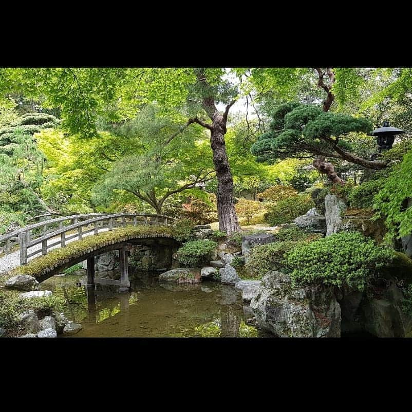 シャルレーヌ・ギニャールさんのインスタグラム写真 - (シャルレーヌ・ギニャールInstagram)「Kyoto ⛩ #memories #kyoto #japan #vacation #holidays #🇯🇵 #nijocastle #fushimiinari  #sobeautiful #love」5月19日 17時21分 - charleneguignard