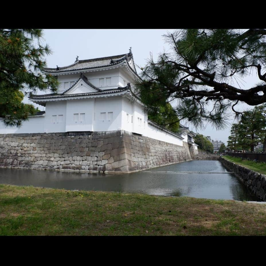 シャルレーヌ・ギニャールさんのインスタグラム写真 - (シャルレーヌ・ギニャールInstagram)「Kyoto ⛩ #memories #kyoto #japan #vacation #holidays #🇯🇵 #nijocastle #fushimiinari  #sobeautiful #love」5月19日 17時21分 - charleneguignard