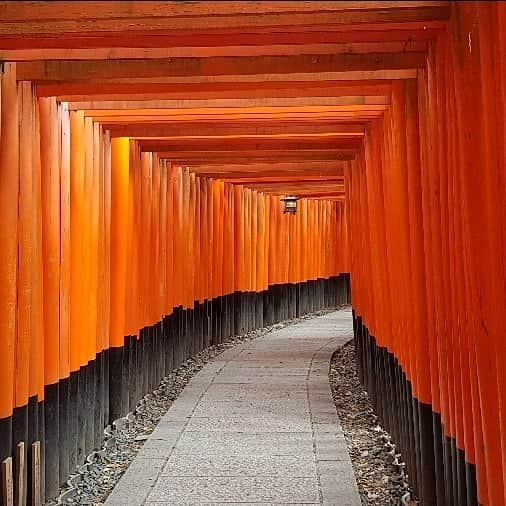 シャルレーヌ・ギニャールさんのインスタグラム写真 - (シャルレーヌ・ギニャールInstagram)「Kyoto ⛩ #memories #kyoto #japan #vacation #holidays #🇯🇵 #nijocastle #fushimiinari  #sobeautiful #love」5月19日 17時21分 - charleneguignard