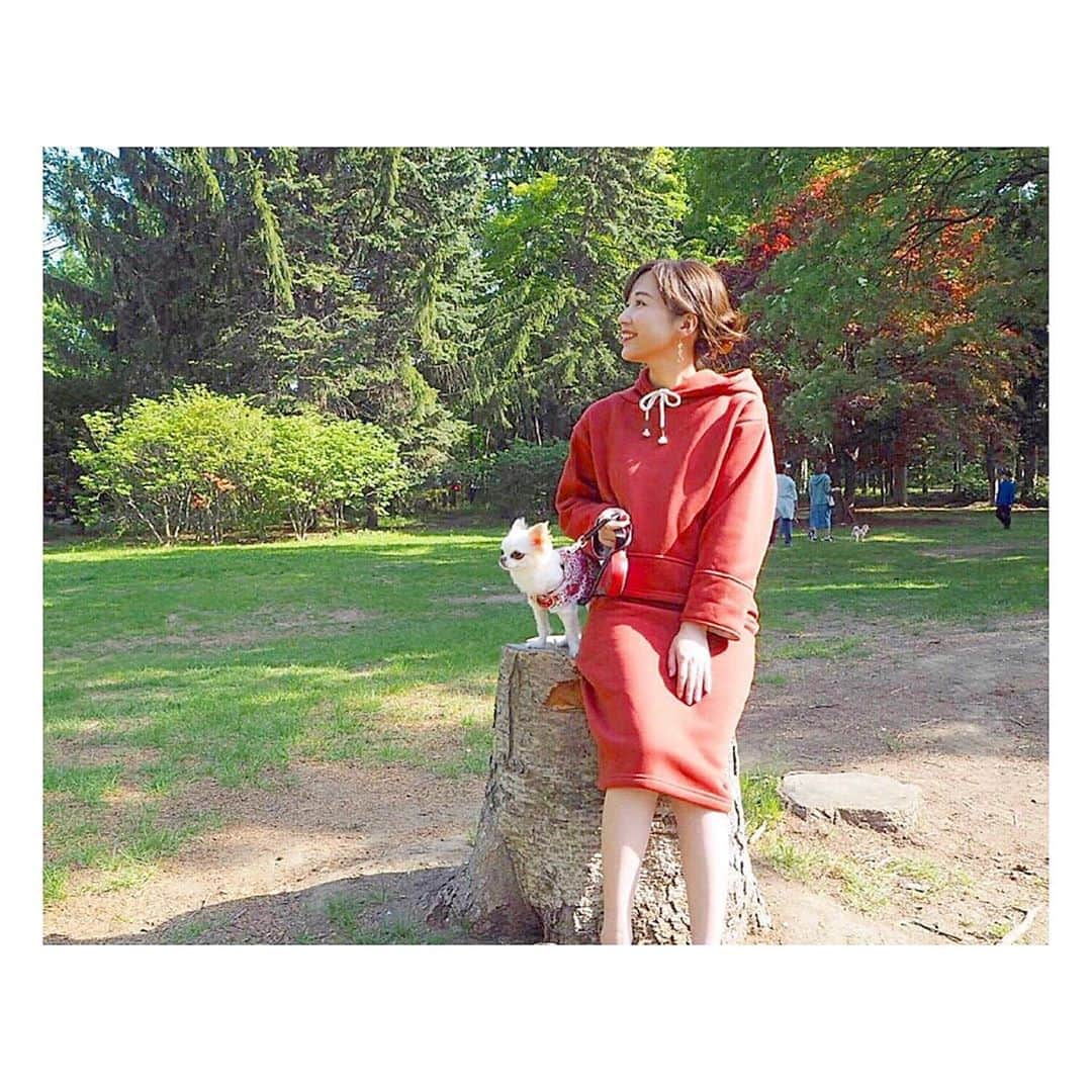 木村愛里さんのインスタグラム写真 - (木村愛里Instagram)「⋆ 上着なしでの おでかけ嬉しい☺️ ライラックまつりも行きたいな💜 ㅤㅤㅤㅤㅤㅤㅤㅤㅤㅤㅤㅤㅤ ㅤㅤㅤㅤㅤㅤㅤㅤㅤㅤㅤㅤㅤ @17kg_official  のセットアップ❤️ ㅤㅤㅤㅤㅤㅤㅤㅤㅤㅤㅤㅤㅤ #airi_code #17kg  #上着なし #セットアップ  #お散歩 #きもちい #ちわわ  #木のいす #ワイルド 💜🧡」5月19日 17時23分 - airi_official