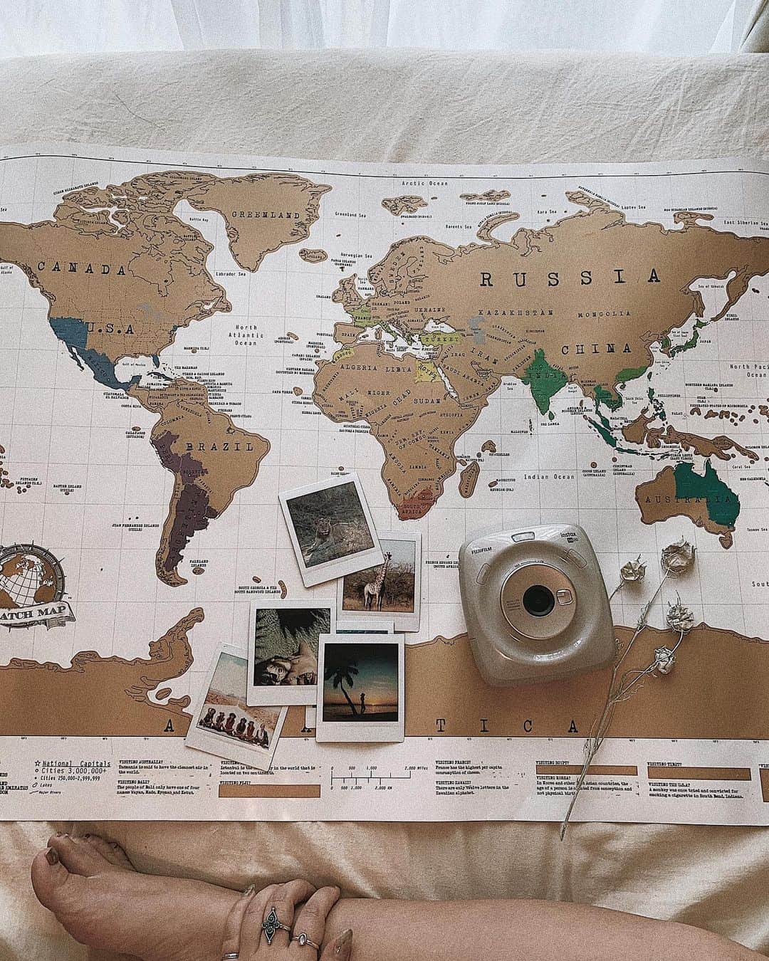 Manamiのインスタグラム：「I wonder where to go in June🤔💭💗 Moroccoの次どこに行こうか悩み中〜 ㅤ 🗺 @urbanoutfittershome 📷 @cheki_instax #instaxlife #instax #instaxsq20 #SQ20 #チェキ #PR #manashikacheki」