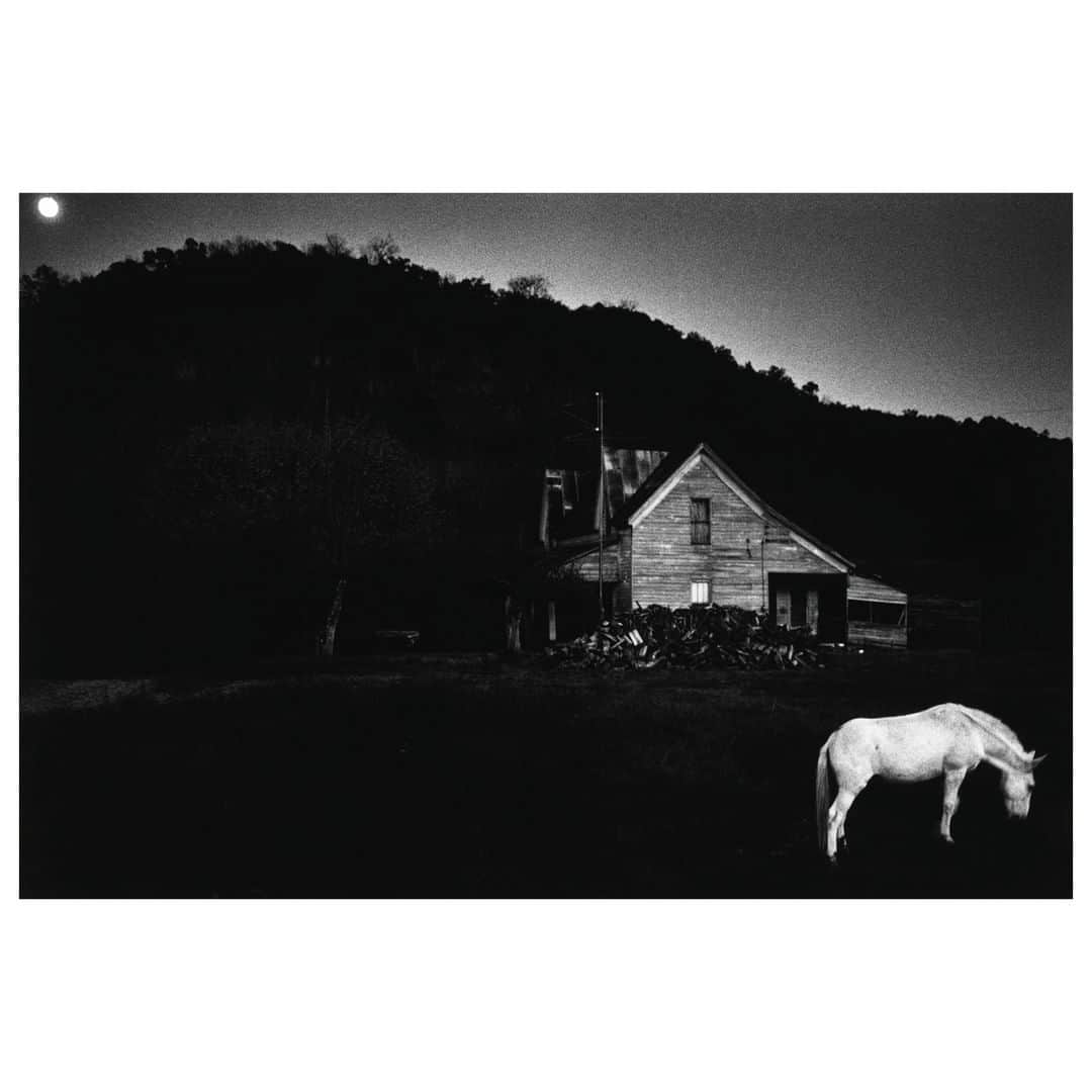 Magnum Photosさんのインスタグラム写真 - (Magnum PhotosInstagram)「From the archive: Mississippi Farm Scene. USA. 1969. . © #DennisStock/#MagnumPhotos」5月20日 3時00分 - magnumphotos