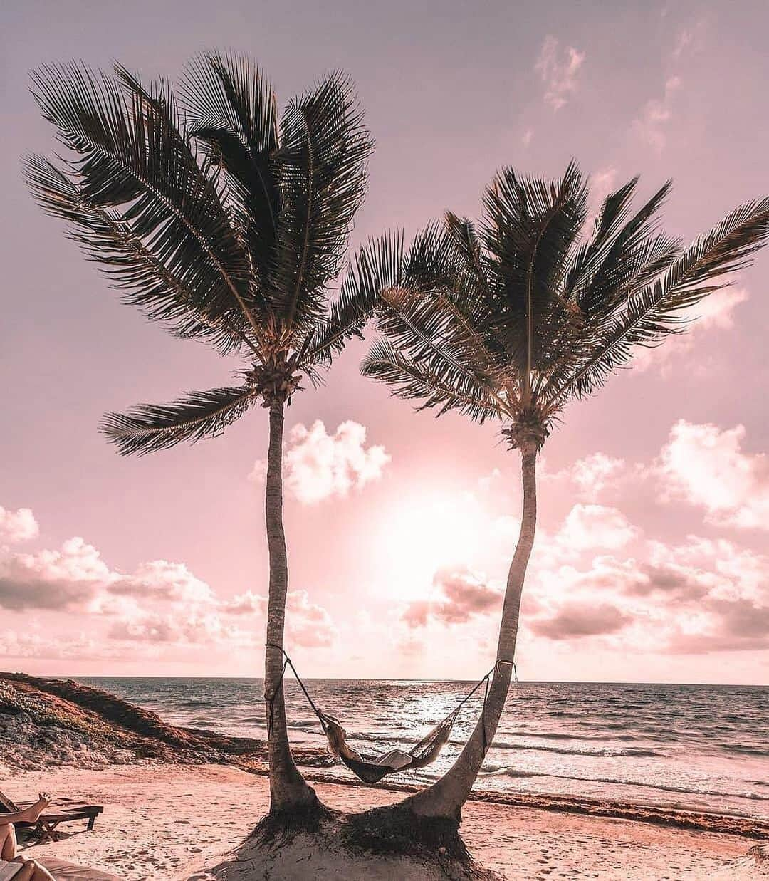 PAUL HEWITTさんのインスタグラム写真 - (PAUL HEWITTInstagram)「Find me under the palms. 🌴🌊⚓️ (photo @saltyluxe) #getAnchored #paulhewitt __ #heavenonearth #travelinspiration #palms #palmstrees #beach #vacay #instavacay #instatravel #travel #ocean #sand #sun #explore #getaway」5月20日 4時00分 - paul_hewitt