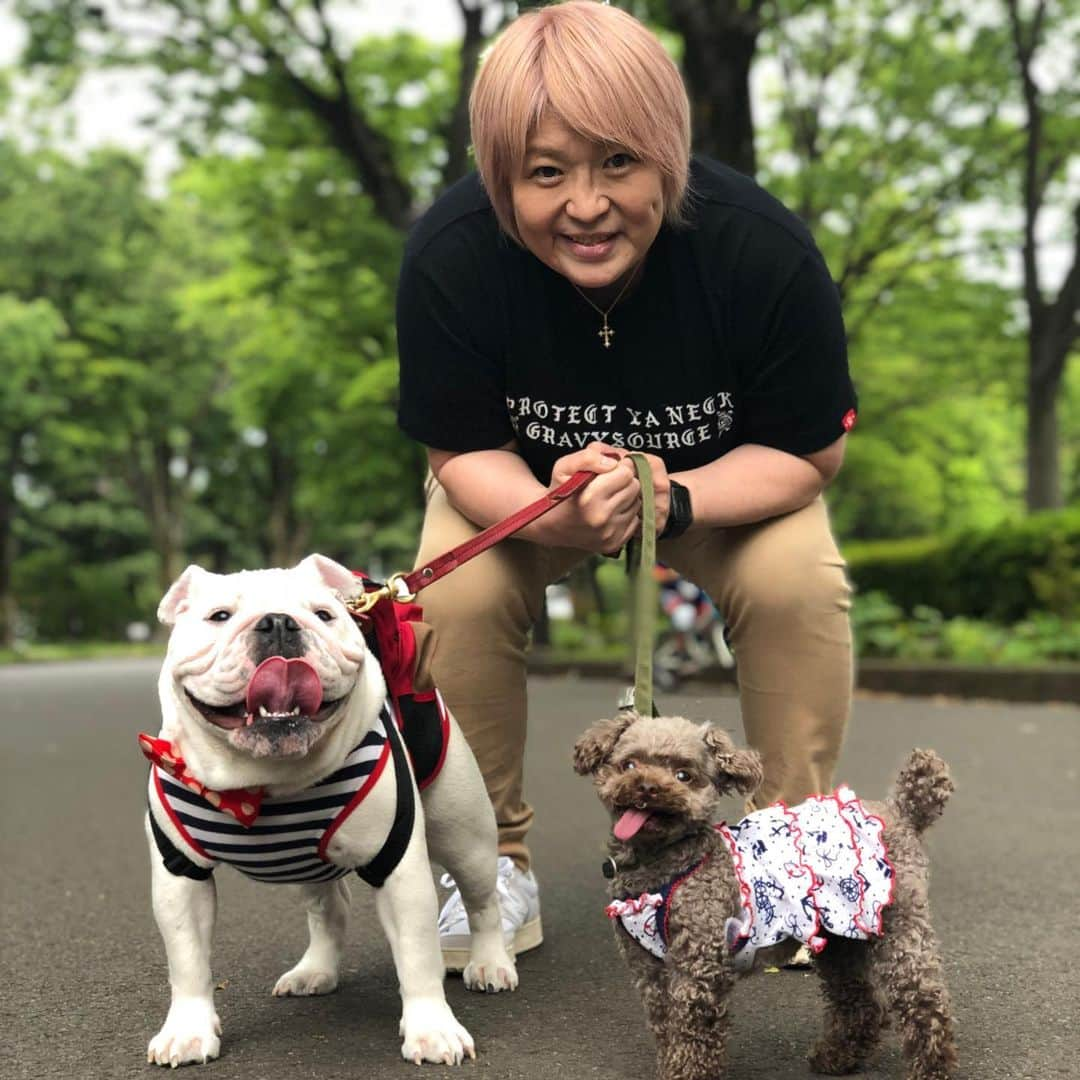 堀田祐美子さんのインスタグラム写真 - (堀田祐美子Instagram)「久しぶりの駒沢公園…  気持ちよかった！！ #yumikohotta #堀田祐美子 #woman's #prowrestling #女子プロレス #prowrestling #プロレス#awg#アクトレスガールズ#アクトレスガールズプレイングマネージャー #犬 #dog #bulldog #ブルドッグ #ホワイト#white#ホワイトブルドッグのふぅら#whit bulldog#ブヒ #鼻ぺちゃ#可愛い#toypoodle #トイプードル #コナ #ハーツ82#駒沢公園#森林浴」5月20日 4時21分 - yumiko_hotta