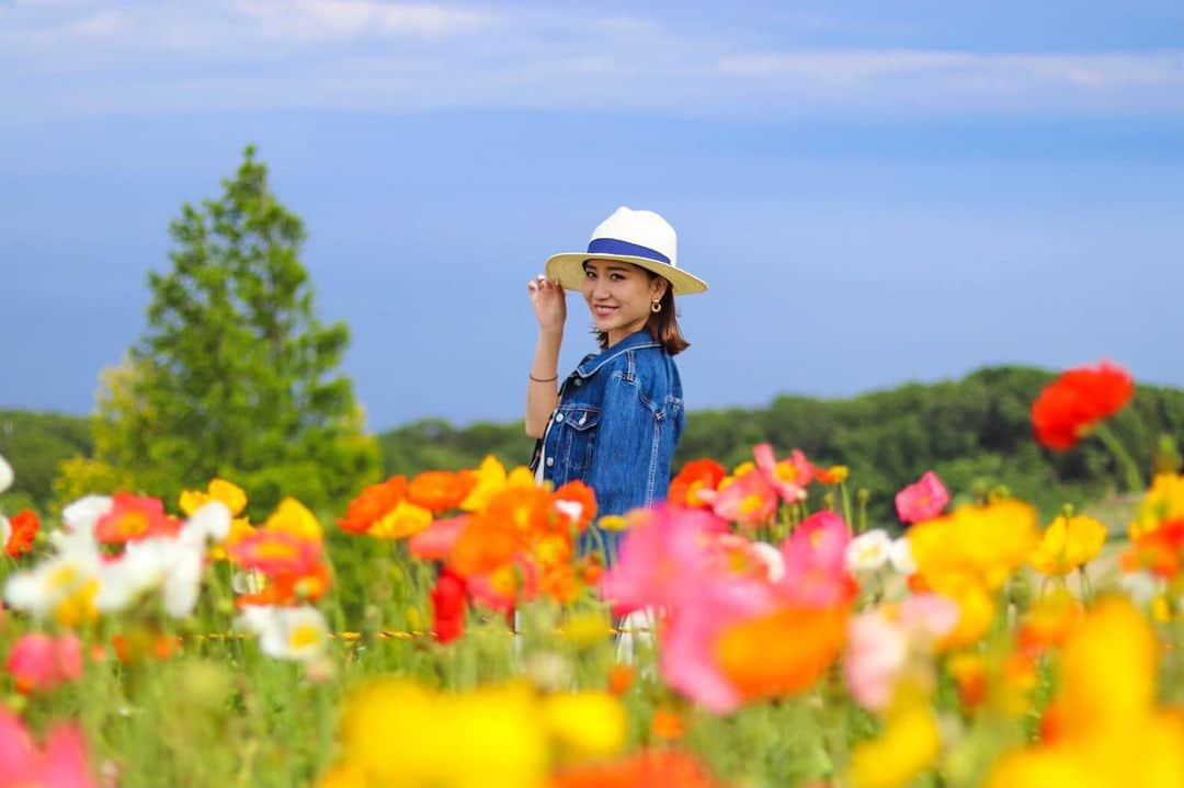 Ayaさんのインスタグラム写真 - (AyaInstagram)「あわじ花さじき🧡❤️💛 綺麗やったーっ！🥰✨ #兵庫県#淡路島#淡路#あわじ花さじき#お花畑#はなさじき#青空#ポピー#ポピー畑#家族day#family #awajishima#awaji#flower#canon#canoneos9000d」5月19日 19時43分 - aya__fit