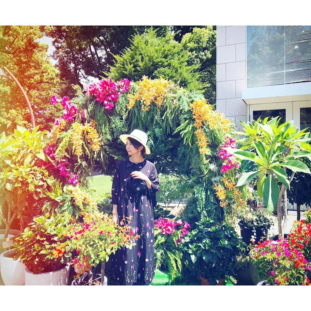 のインスタグラム：「出演情報📺✨ 明日「あさイチ」に出演します！ . . ■NHK「あさイチ」 ‪5/20(月)8:15～‬ ‪http://www1.nhk.or.jp/asaichi/‬ . . #NHK #あさイチ ‪#写真はいつかの‬お花と私」