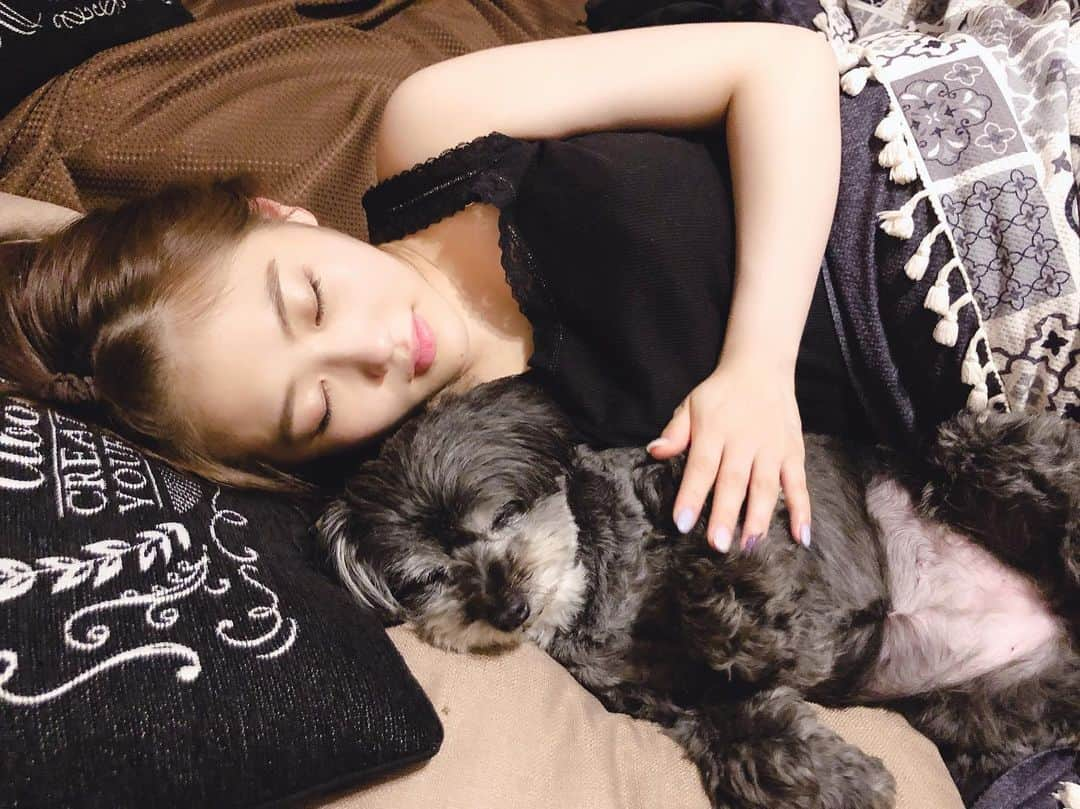 西野未姫さんのインスタグラム写真 - (西野未姫Instagram)「👧🏻🐶💤 #愛犬 #姫ちゃん #寝顔 #これは盛れた」5月19日 19時57分 - nishinomiki_official