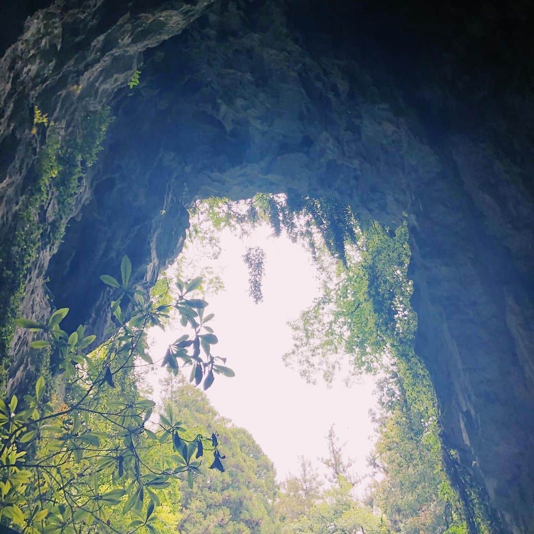 川本睦子のグルメインスタ