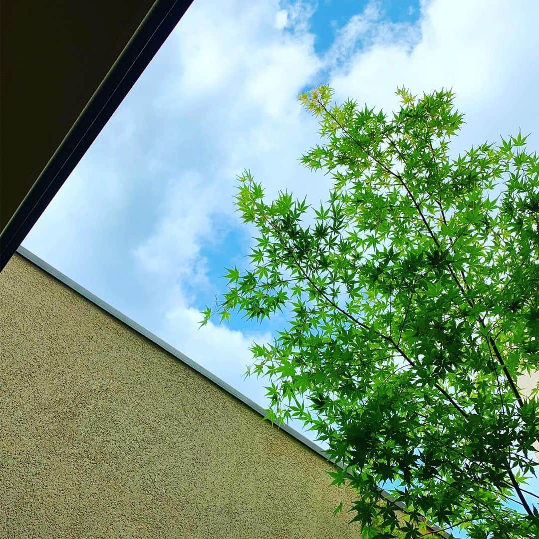 デザオ建設北野展示場さんのインスタグラム写真 - (デザオ建設北野展示場Instagram)「初夏です。 シランの盛りはそろそろ過ぎて。 アプローチでは菊の花、コレは、しかし、勘違いっ子？？中庭では紫陽花、今年も無事スタンバってくれてます^ - ^ #つなぐモデルハウスとこしえ  #平成最後の4月  #デザオ建設北野展示場  #上七軒 #デザオ建設 #DEZAO  #DsLABO #京都 #リノベーション #リフォーム  #リノベ #注文住宅  #家 #住宅 #建築 #暮らし #マイホーム#インテリア #デザイン #家づくり #木の家#和風モダン  #house #design #interior #architecture #myhome #home」5月19日 20時18分 - dezao_kitano2018