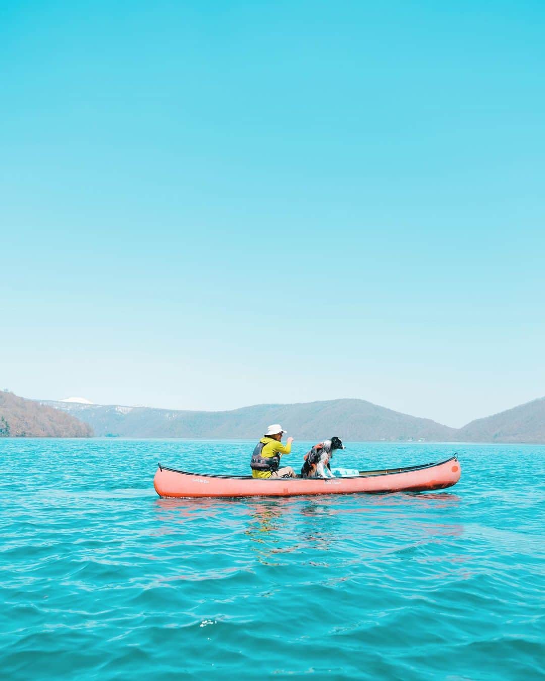 Kobe Japan Water artのインスタグラム：「"Be wild🐶🚣‍♂️" . 急にアウトドア感がでた我が家の🐶. #急に湖にとびんこんだけど水温5度. #回収されて連れて行かれる最中.」