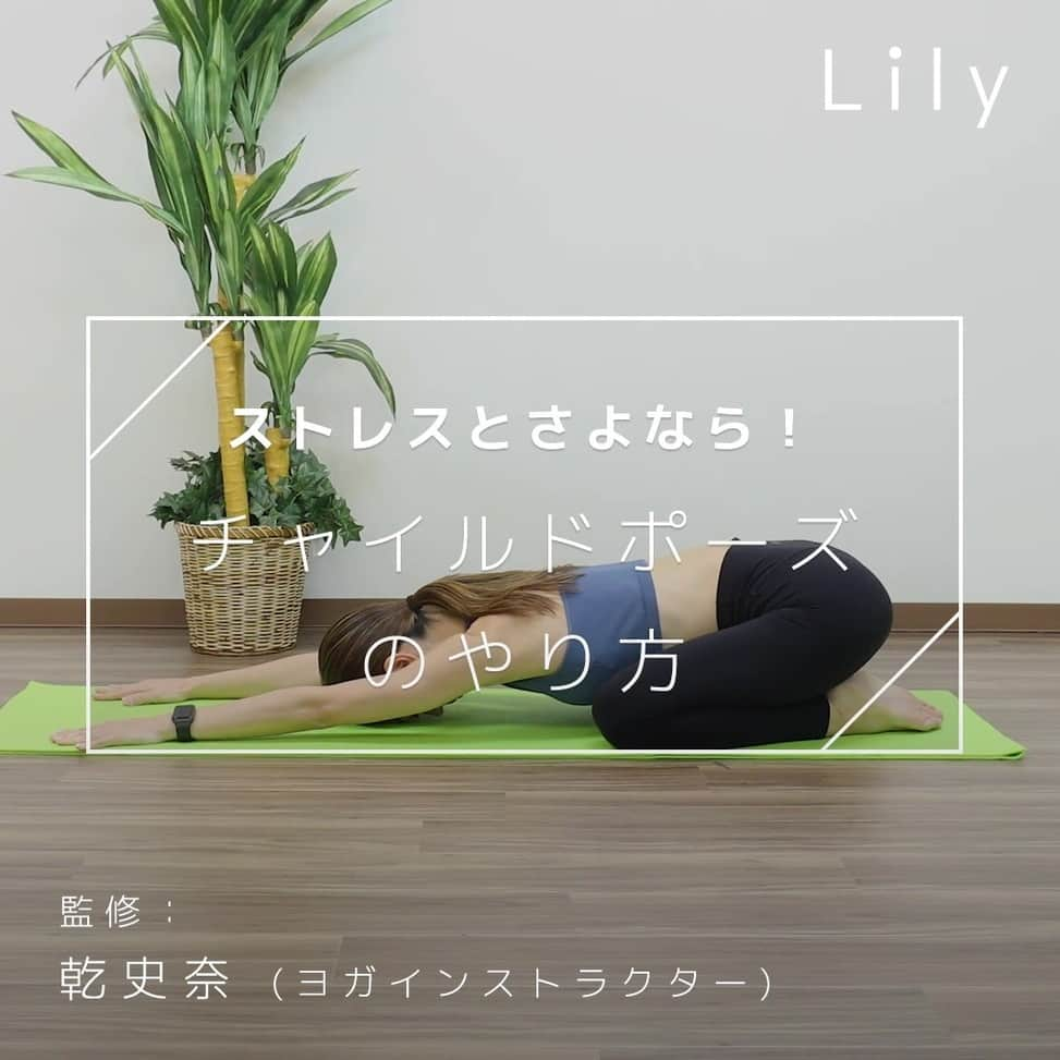 Lilyのインスタグラム