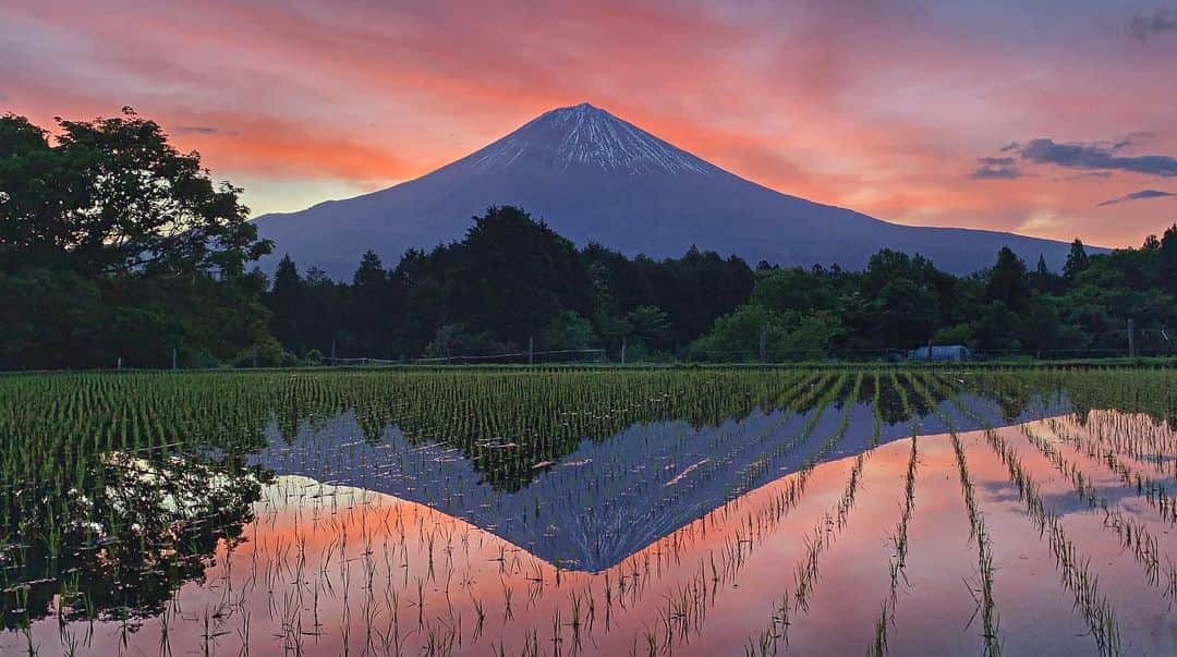 phantastic420のインスタグラム：「. 🤩🤩“Shizuoka” prefecture in Japan is a place where you can see the most “phantastic” Mt. Fuji🗻 in the world.🤩 #富士山 #mtfuji #japan 😇😇😇😇😇😇😇🗻😇😇 #誰も撮らない素敵な場所 😍この日ももちろんここには自分しかいませんでした😍 Thanks @next_fuji #nextfuji @visit.tokai @shizuoka_kankou #静岡dc #富士宮市 #photois #50000人の写真展 #日本の風景 #東京 @fujifilm_photois #nationalparksjp2019contest」