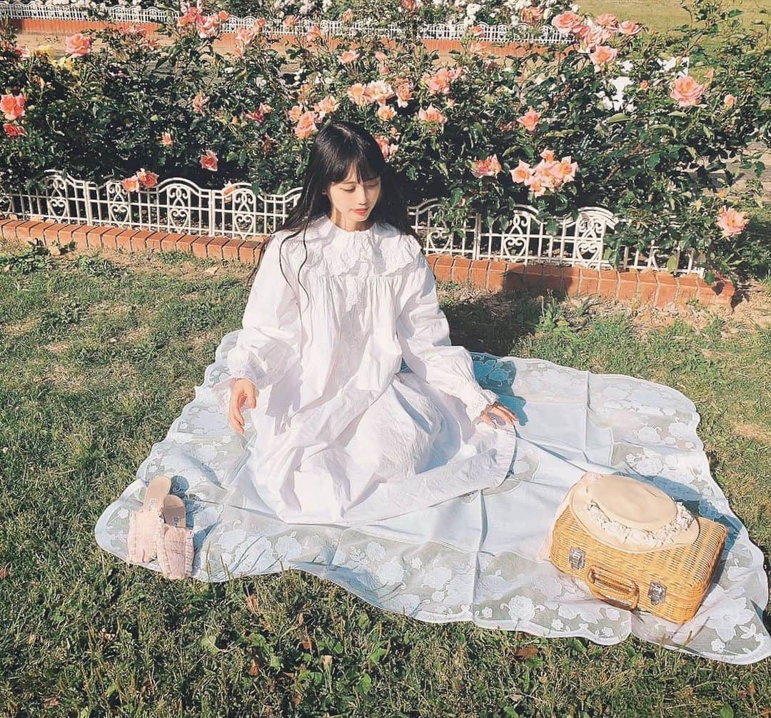 酒元麻衣（まいへー）のインスタグラム：「ぽんちゃんとピクニック👒 . . .  #庄内緑地公園#ピクニック#バラ園#薔薇園#vintageootd#antique#sweet8月号_dressup」