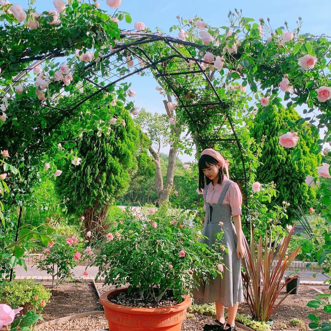 歌田初夏さんのインスタグラム写真 - (歌田初夏Instagram)「お花🌸🌼💐 私史上一番インスタ映えの場所だと思ってます  また行きたいな🌹  #お花 #名城公園 #インスタ映え #したかもしれない」5月19日 21時27分 - utahatsu78