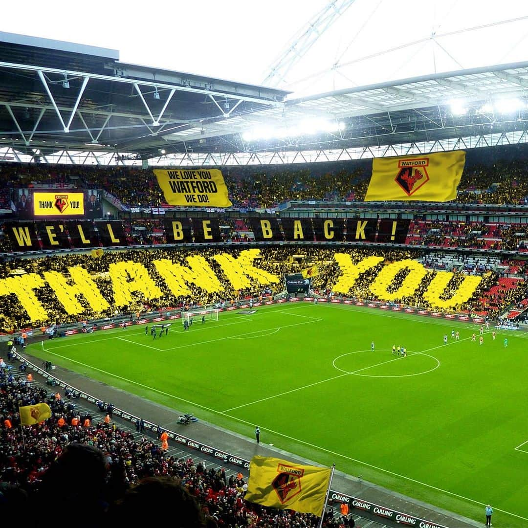 ワトフォードFCさんのインスタグラム写真 - (ワトフォードFCInstagram)「Thank you for your incredible support all season! We’ll be back, stronger 💛」5月19日 21時30分 - watfordfcofficial