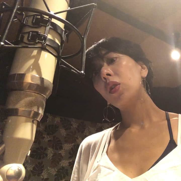 LOVEのインスタグラム：「本日のマイク🎤 TELEFUNKENその2  エンジニアにんにんさん講座」
