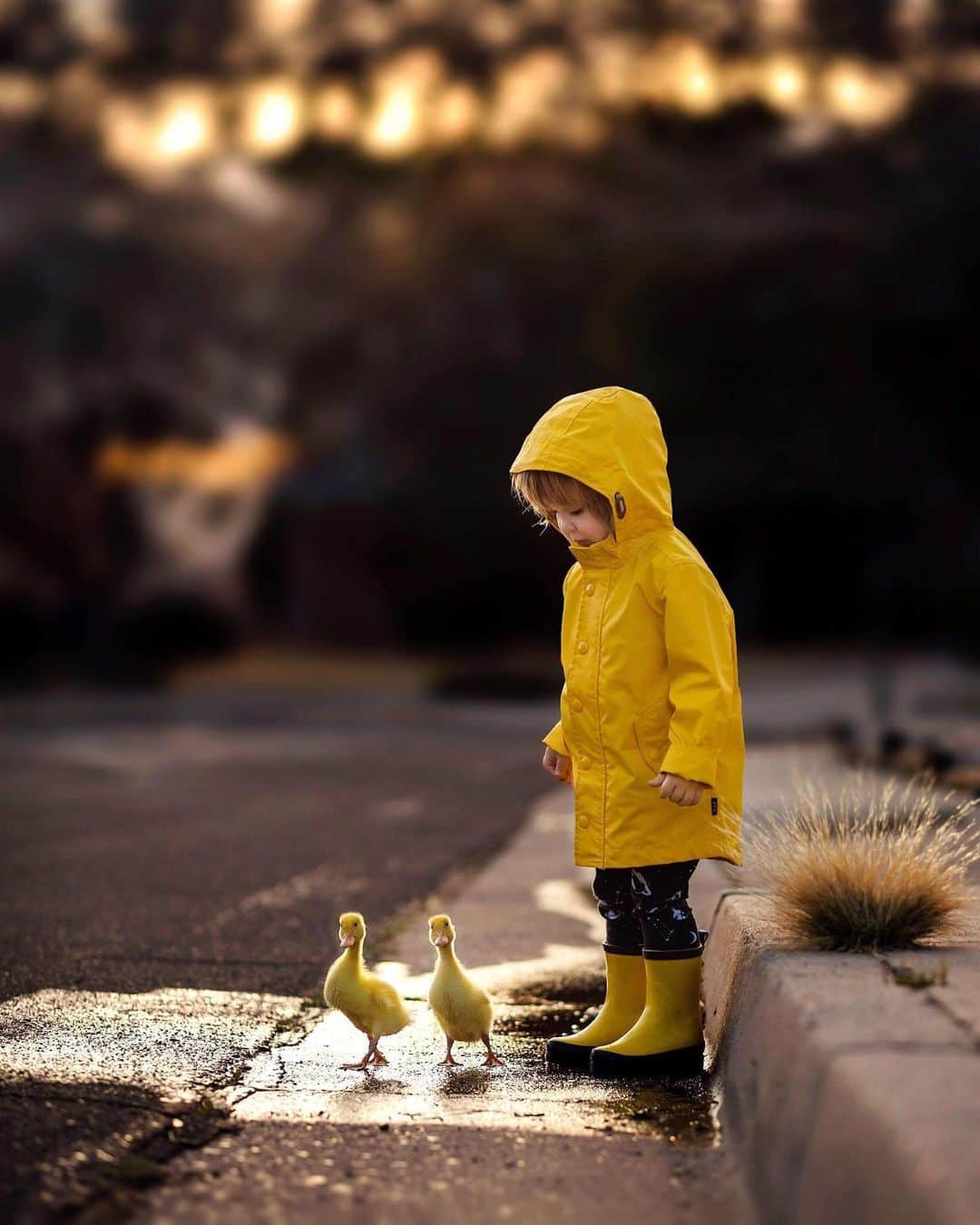 CANON USAさんのインスタグラム写真 - (CANON USAInstagram)「"Just a boy and his ducklings. Simple, yet so precious, childhood moments." #MyCanonStory  Photo Credit: @europeanmommyof2 Camera: #Canon EOS 5D Mark III Lens: EF 85mm f/1.8 USM Aperture: f/2.2 ISO: 250 Shutter Speed: 1/4000 sec Focal Length: 85mm」5月19日 22時14分 - canonusa