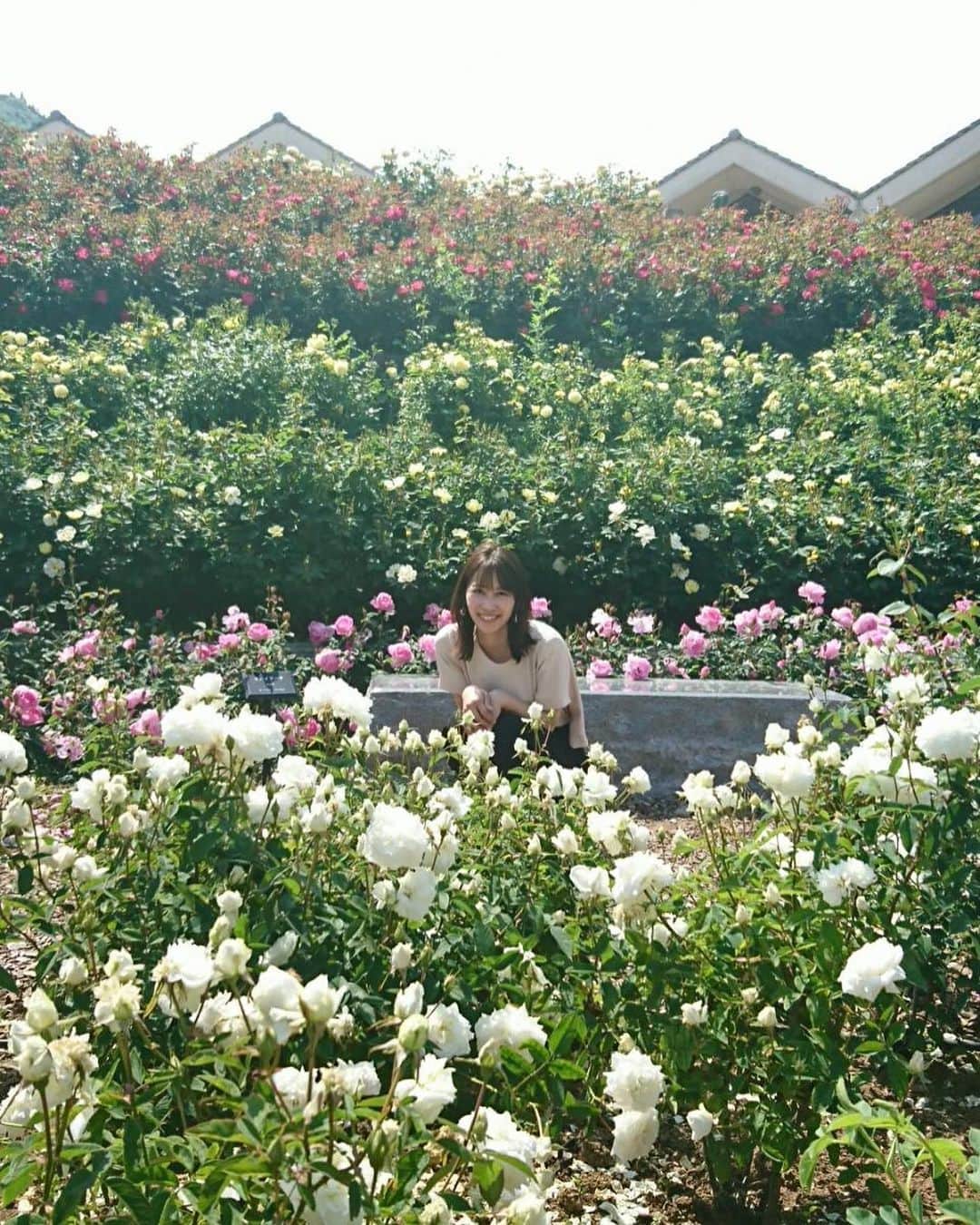 佐藤千晶さんのインスタグラム写真 - (佐藤千晶Instagram)「#富士川クラフトパーク の バラ園へ！  いい香りに包まれたー😊  #山梨県 #薔薇 #rose #japan #yamanashi #身延町」5月19日 22時14分 - satochiaki125