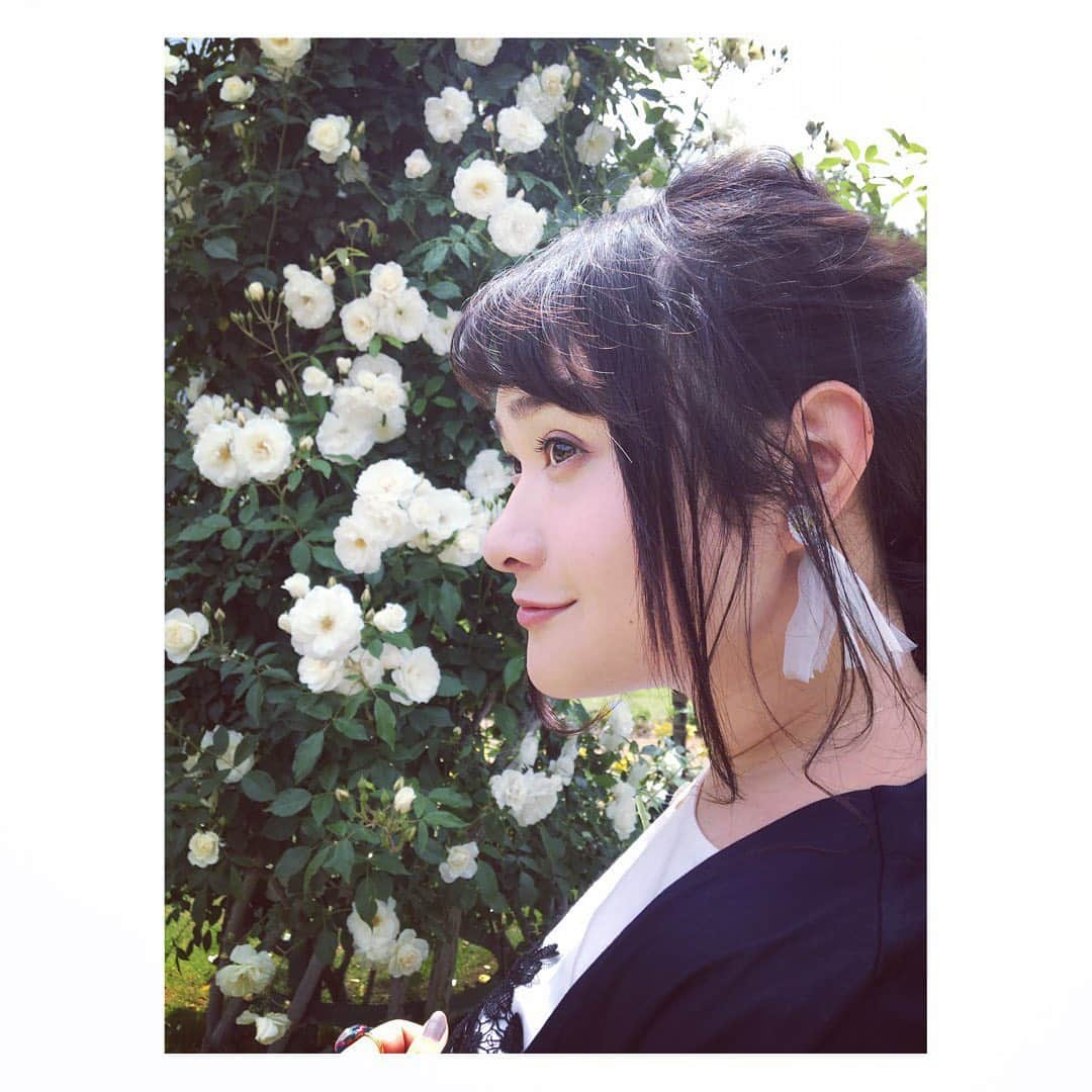 佐藤綾子さんのインスタグラム写真 - (佐藤綾子Instagram)「🌹ばらの花🌹﻿ ﻿ ﻿ 1泊2日で高校からの友達と旅行に行ってきました✈️びゅっ﻿ その地は静岡県は #伊豆半島 ！﻿ 長崎と同じく海の幸や山の幸に恵まれたとても良いところでした🗻🎣🌟﻿ ﻿ 一番行きたかったのがこの #河津バガテル公園 ！﻿ 6000株のバラが見頃を迎えるということで初めて足を運びました。﻿ 歩けども歩けども色とりどりのバラが四方を取り囲む、なんとも幻想的な場所でした！﻿ 色、花びらの形、花の数、香り…種類によって全く違うのがバラの好きなところです。﻿ 歩みを進めるたびに「はあ〜！」とうっとりため息🥰吐息を白いバラに変えて〜♪﻿ ﻿ スマホのシャッターが止まらなかったんですが、﻿ あの、もう、少し高い丘から眺めたバラ園の全体像は、スマホの限界というか、私の写真テクの未熟さというか、肉眼で見た感動の美しさを収めることができませんでした…控えめに言って、桃源郷ってこんな感じなのかなあと思いました。﻿ 長崎県内や学生時代を過ごした東京でもいろんなバラ園に行きましたが、最盛期ということもあって文句なし一番のローズガーデンでした！﻿ ﻿ 食べられるバラの試食もやっていましたが時間がなくてそちらまで見られず(>_<)﻿ 代わりにバラ味のソフトクリームを食べてきました♡🍦﻿ 口に入れた瞬間、バラの芳しい香りが風味となって鼻腔に押し寄せます🌹🌹🌹﻿ おいしかった〜！🥰﻿ ﻿ 気の置けない女子旅でゲラゲラ笑いっぱなしの2日間でした🦍🐈🐈﻿ ﻿ ﻿ #静岡 #伊豆 #河津 #izu #バラ園 #ローズガーデン﻿ #女子旅 #伊豆旅行 #小旅行 #休日﻿ #ncc #長崎文化放送 #アナウンサー」5月19日 22時18分 - satoaya_ncc