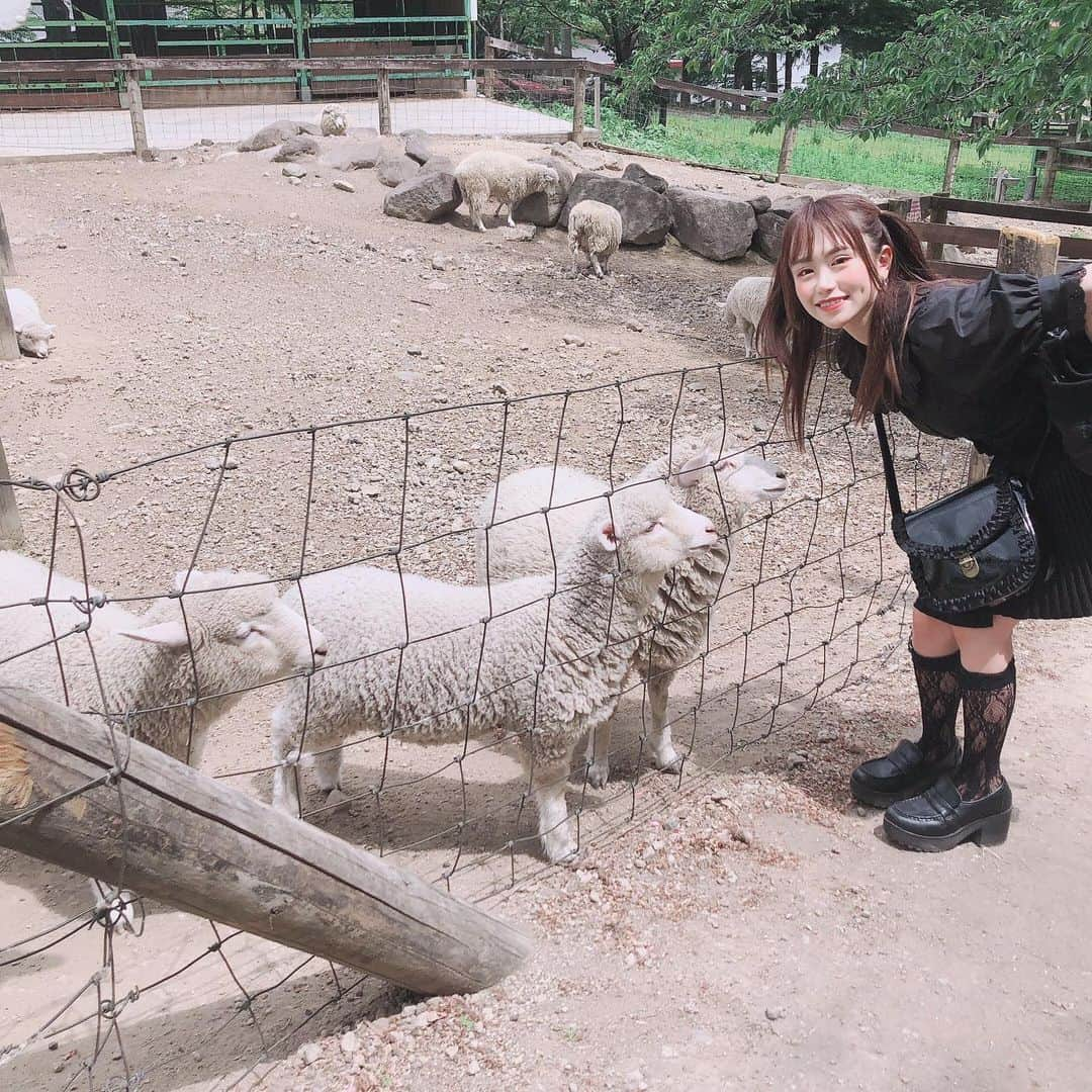 日向すずさんのインスタグラム写真 - (日向すずInstagram)「ワワワワ↑  伊香保グリーン牧場🐑」5月19日 22時19分 - osuzudashi_