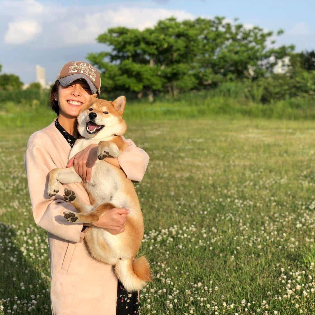 舞名里音さんのインスタグラム写真 - (舞名里音Instagram)「きょうは いいお天気でしたね。 おつかれさま。  #おつかれさま #いいお天気でした #日々是好日 #おやすみなさい  #じゃじゃまる #柴犬 #また明日  #smile #goodnight」5月19日 22時22分 - maina_rion