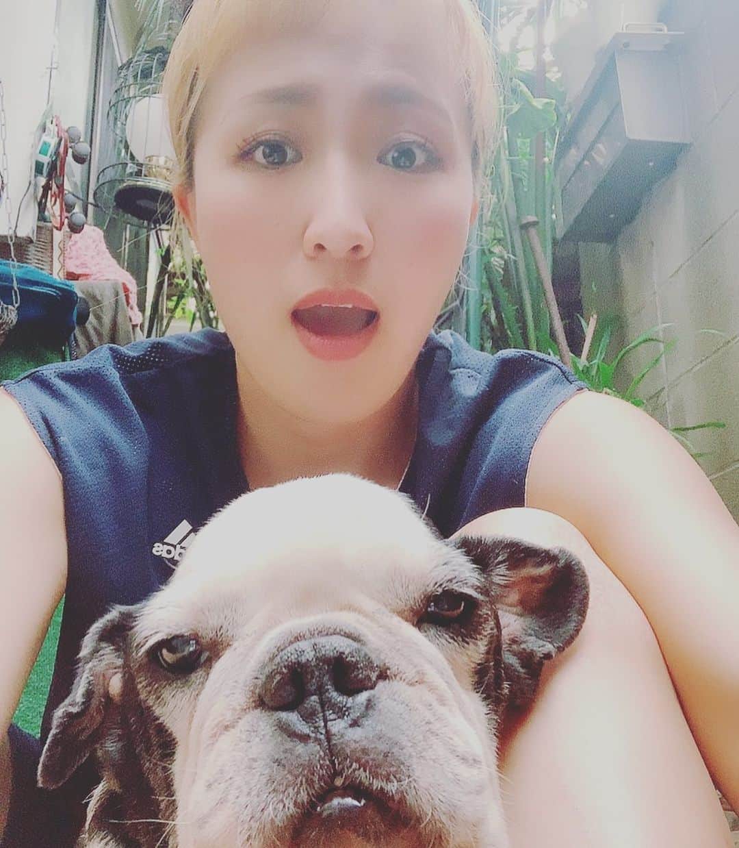 のインスタグラム：「つかの間🐶💡 きなこ、鹿肉爆食い💡元気に生きよう😻🙌🏼 らぶ、きなこ❤️ #きなこ #フレンチブルドッグ #11歳 #鹿肉爆食い #１日でも長く #生きて #がんばろー #日向ぼっこあそび #いい意味で #インスタバエ」
