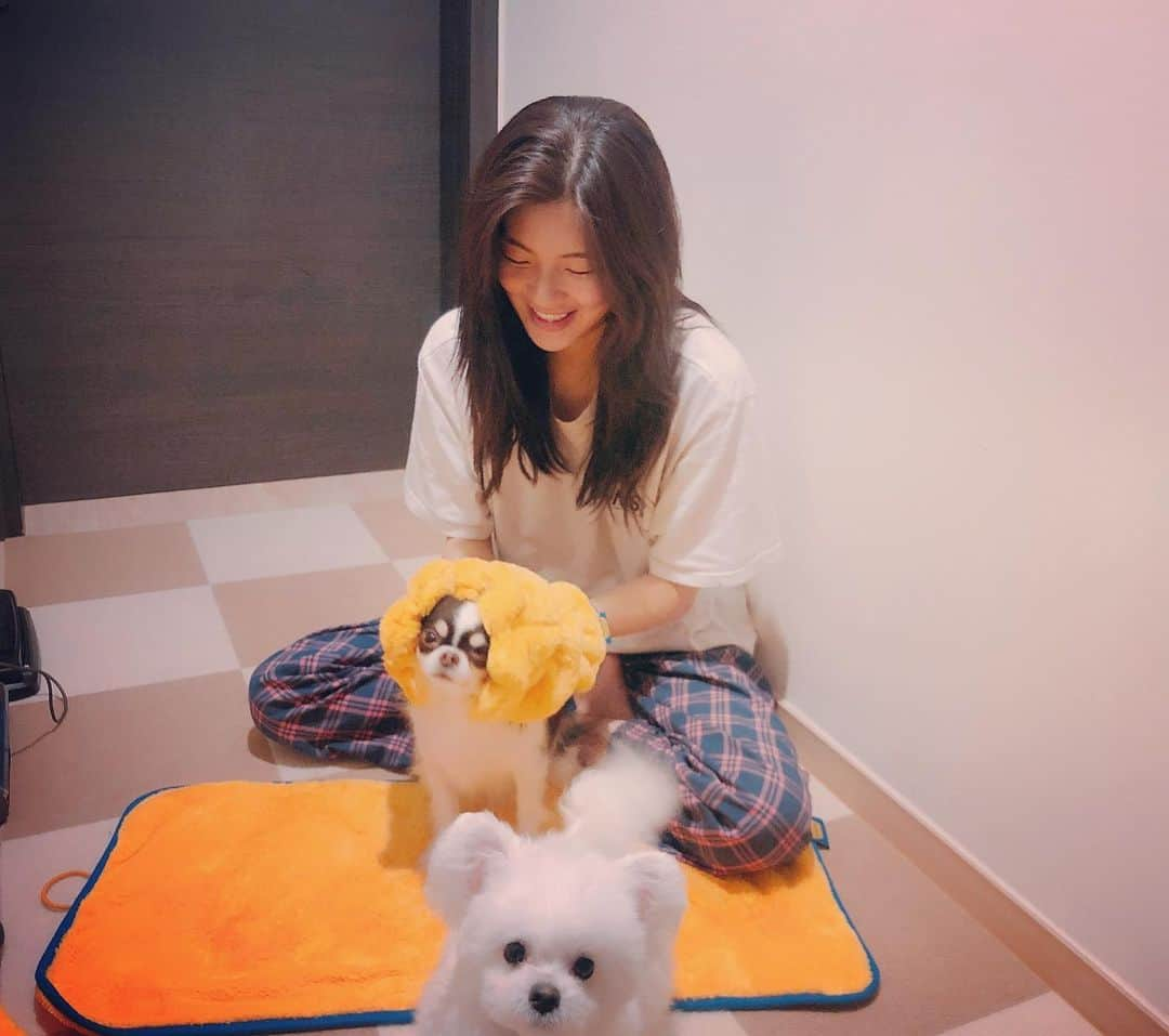 イ・ソンビンさんのインスタグラム写真 - (イ・ソンビンInstagram)「우리꼬물이들도 목욕시간🐶❤️」5月19日 23時02分 - sunbin_eyesmag