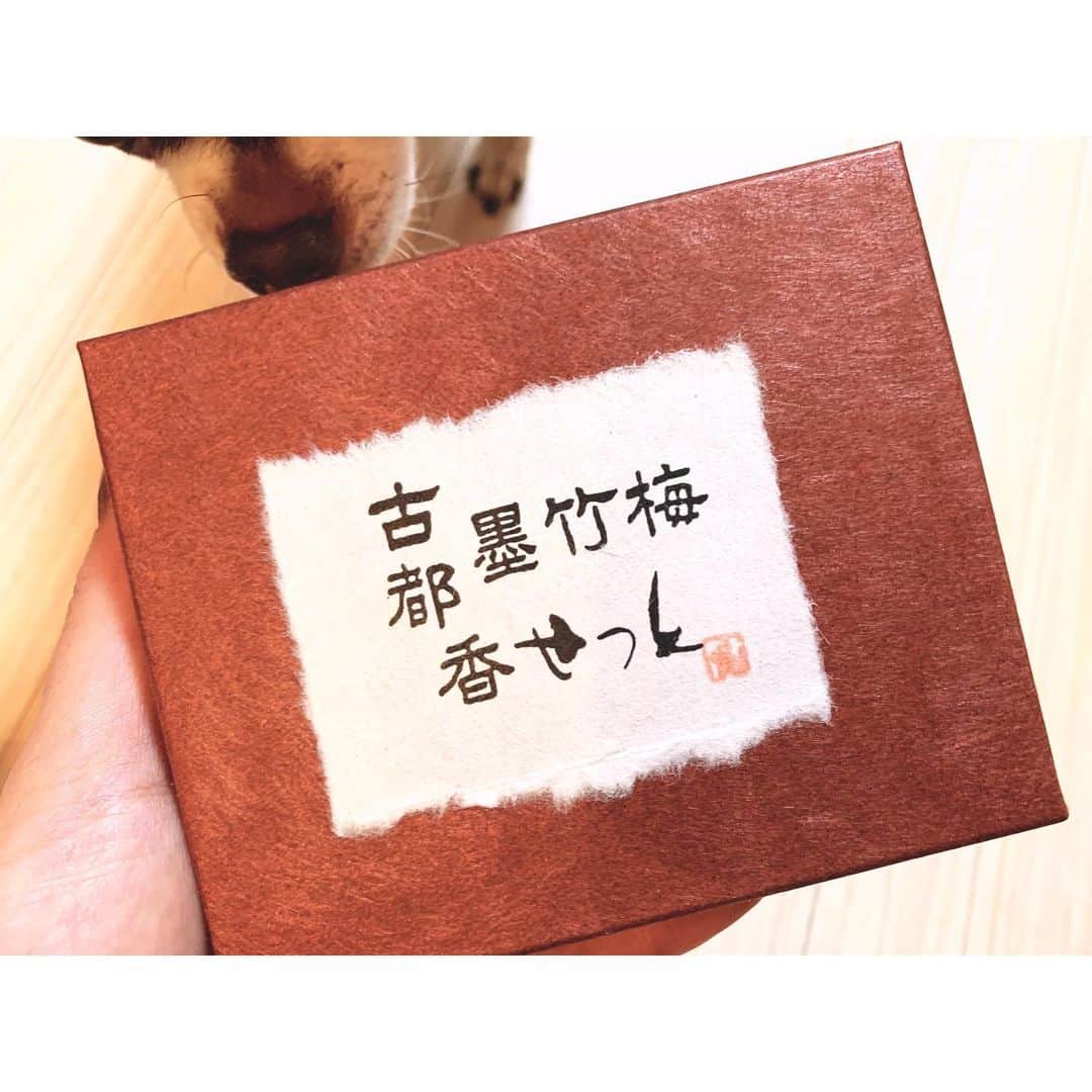 上野なつひのインスタグラム：「嬉しいお土産 ◟́◞̀ きなこも「いい香りだぁ」と近づいてきた程っ♡ 満月の夜、吸い込まれそうな月を見て色んなことを想う！いい香りと美しさに浸る夜🌕  #お香 #消化されリフレッシュ #1日の終わりに大事な切り替え #京都お香 #香彩堂」