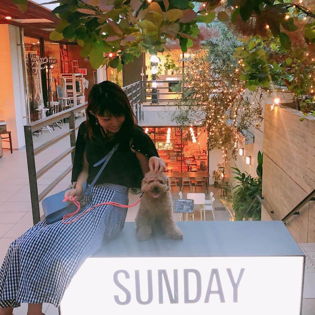 熱田久美のグルメインスタ